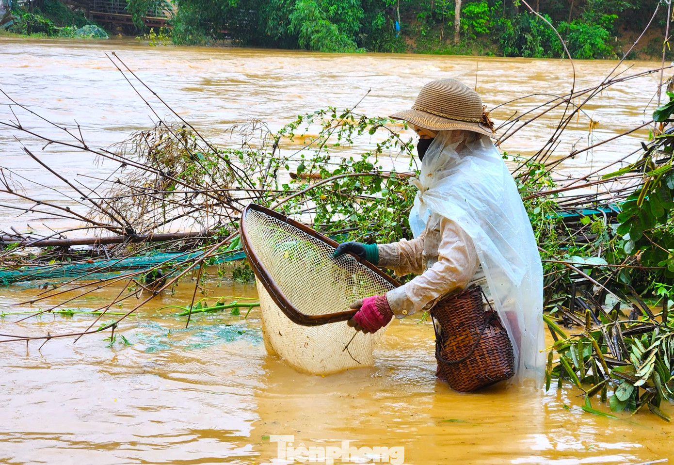 Chị Lương Thị Hoa (51 tuổi, trú bản Diềm, xã Châu Khê) chia sẻ: "Cứ mỗi lần nước lũ trên con suối Choăng dâng cao thì tôi lại ra đây để bắt cá. Bởi lúc này cá nhiều và cá vào sát bờ hơn. Cá không to, mình bắt về chỉ để ăn chứ không bán". Chị Hoa cho biết, người dân nơi đây gọi nghề này là nghề xoắn cá, còn người nơi khác gọi là xúc cá. Chị Lương Thị Hoa (51 tuổi, trú bản Diềm, xã Châu Khê) chia sẻ: "Cứ mỗi lần nước lũ trên con suối Choăng dâng cao thì tôi lại ra đây để bắt cá. Bởi lúc này cá nhiều và cá vào sát bờ hơn. Cá không to, mình bắt về chỉ để ăn chứ không bán". Chị Hoa cho biết, người dân nơi đây gọi nghề này là nghề xoắn cá, còn người nơi khác gọi là xúc cá.