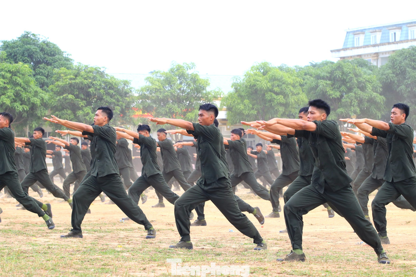 Đồng diễn những bài võ, động tác võ.