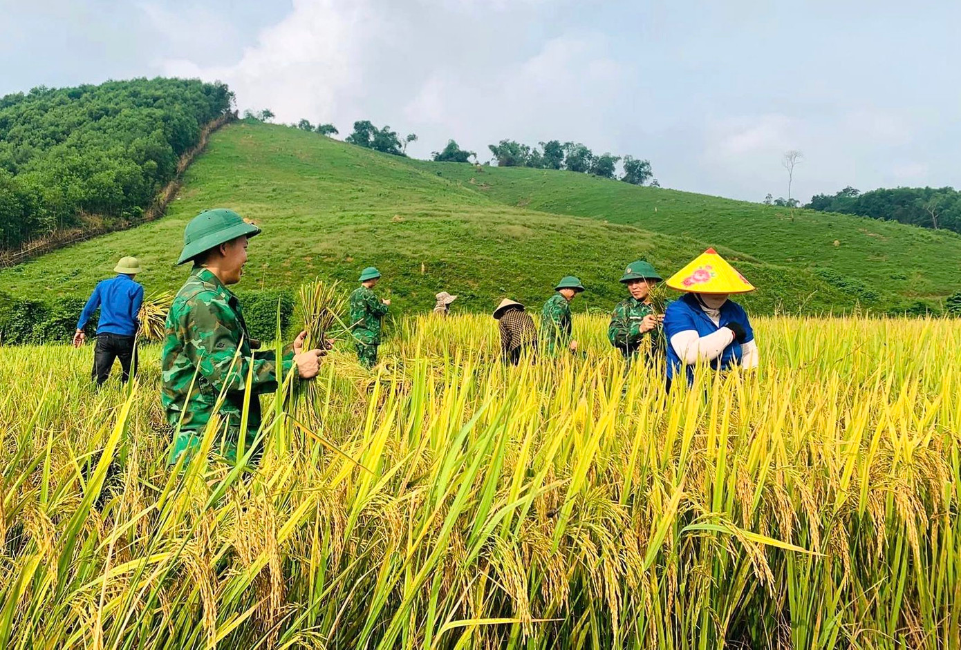 Gia đình anh Lương Văn Tý có hoàn cảnh rất khó khăn khi vợ đang bị căn bệnh hiểm nghèo giai đoạn cuối. "Năm nay gia đình anh Tý trồng hơn 2 sào lúa và đã chín vàng. Vì hoàn cảnh gia đình nên không có người ra đồng thu hoạch. Ruộng lầy lội, máy không thể gặt được. Nếu không thu hoạch kịp, sợ mưa gió lớn ngã cây sẽ gây thiệt hại. Vậy nên các đoàn viên xã cùng đoàn viên Đồn Biên phòng Môn Sơn đến gặt lúa giúp gia đình anh Tý. Trong sáng 10/5, 2 sào lúa đã được thu hoạch xong", Bí thư Đoàn xã Môn Sơn chia sẻ.