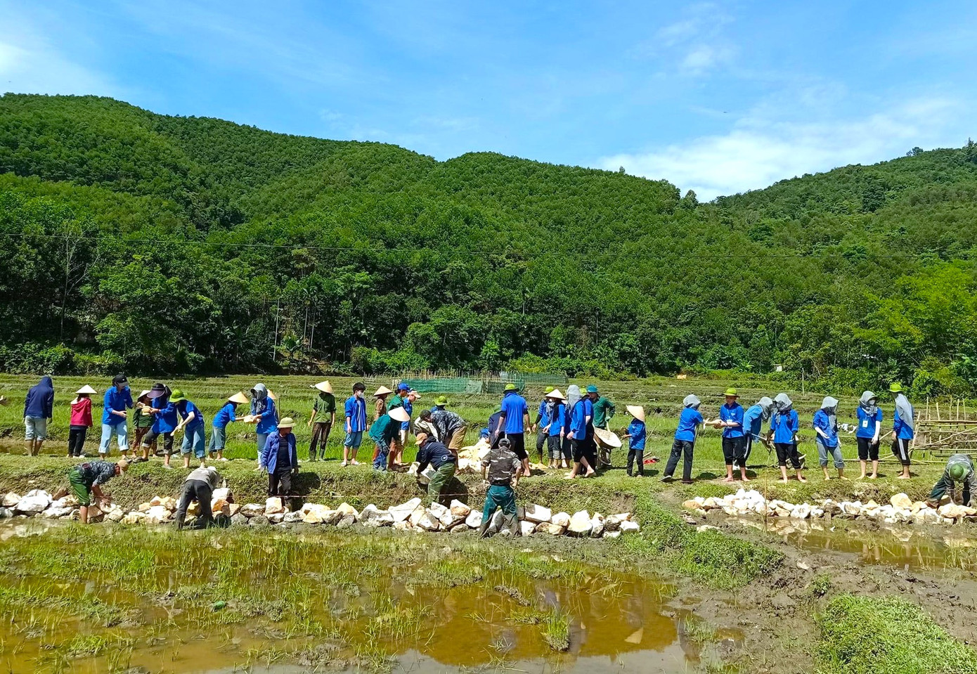 Với chủ đề: "Tuổi trẻ Trường Đại học Vinh xung kích, tình nguyện vì cộng đồng", Chiến dịch tình nguyện Hè 2024 của Trường Đại học Vinh thu hút hơn 700 chiến sĩ tình nguyện tham gia. Đại diện cho hơn 18.000 đoàn viên thanh niên của nhà trường hoạt động trong 25 đội hình. Trong ảnh, đội sinh viên tình nguyện Đại học Vinh phối hợp Đội Thanh niên tình nguyện xã Châu Hồng (huyện Quỳ Hợp, Nghệ An) tổ chức làm kè đá, làm đường cho người dân bản Hy.
