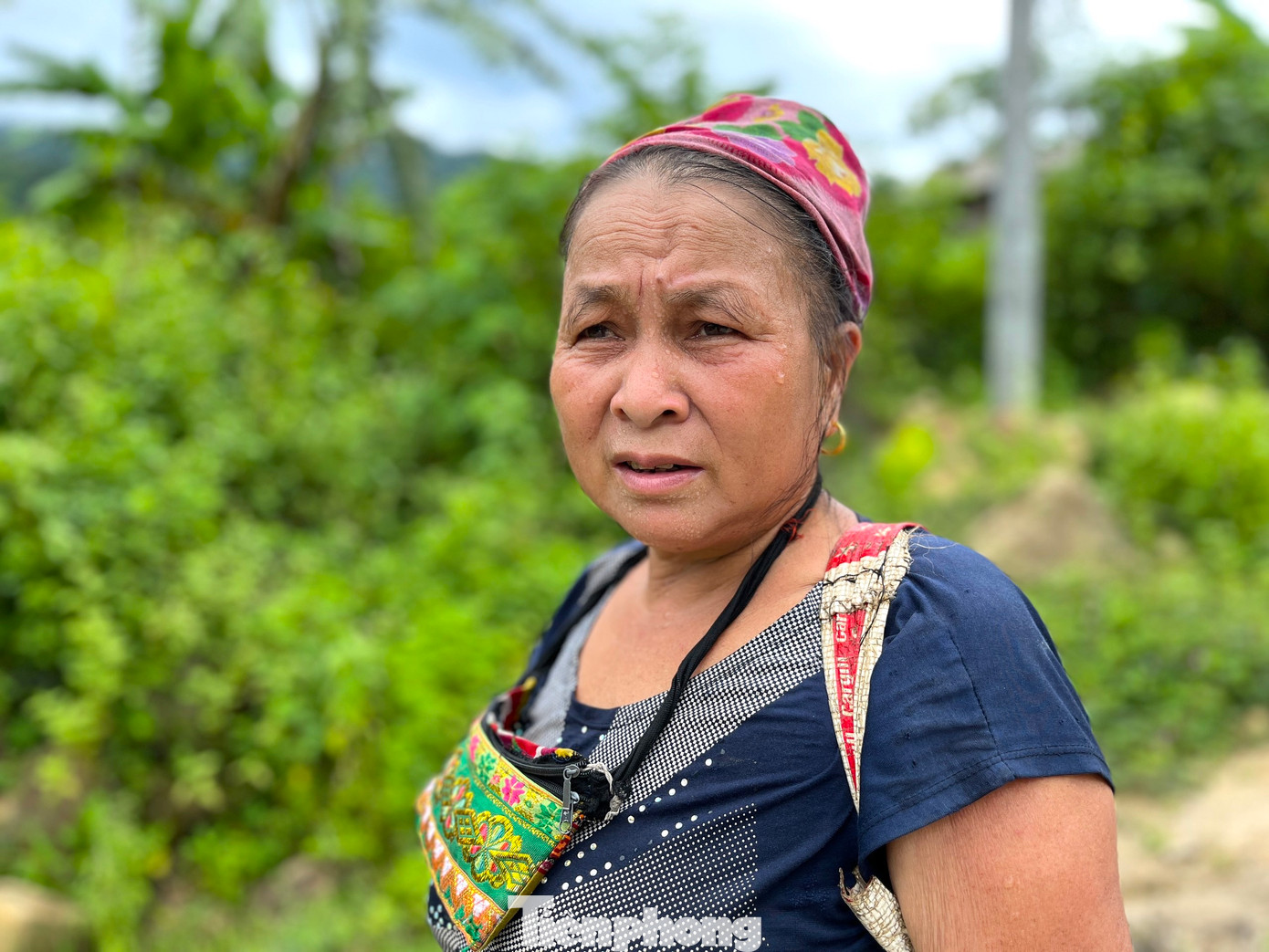 Bà Lô Thị Cúc (56 tuổi, trú xã Hạnh Dịch, huyện Quế Phong, Nghệ An) cho biết, mùa măng bắt đầu từ tháng 7 đến hết tháng 9 hàng năm. Năm nào hai mẹ con bà Cúc cũng vào rừng hái măng từ sáng sớm đến trưa hoặc chiều mới về. Cuối ngày, mẹ con bà Cúc gùi măng từ rừng đi thẳng đến địa điểm thương lái chờ sẵn để bán. Mỗi ngày, 2 mẹ con bà Cúc bẻ được từ 15-20kg măng, bán được 150 nghìn đến 200 nghìn đồng. Tuy không nhiều nhưng đây là thu nhập chính của mẹ con bà Cúc những ngày qua.