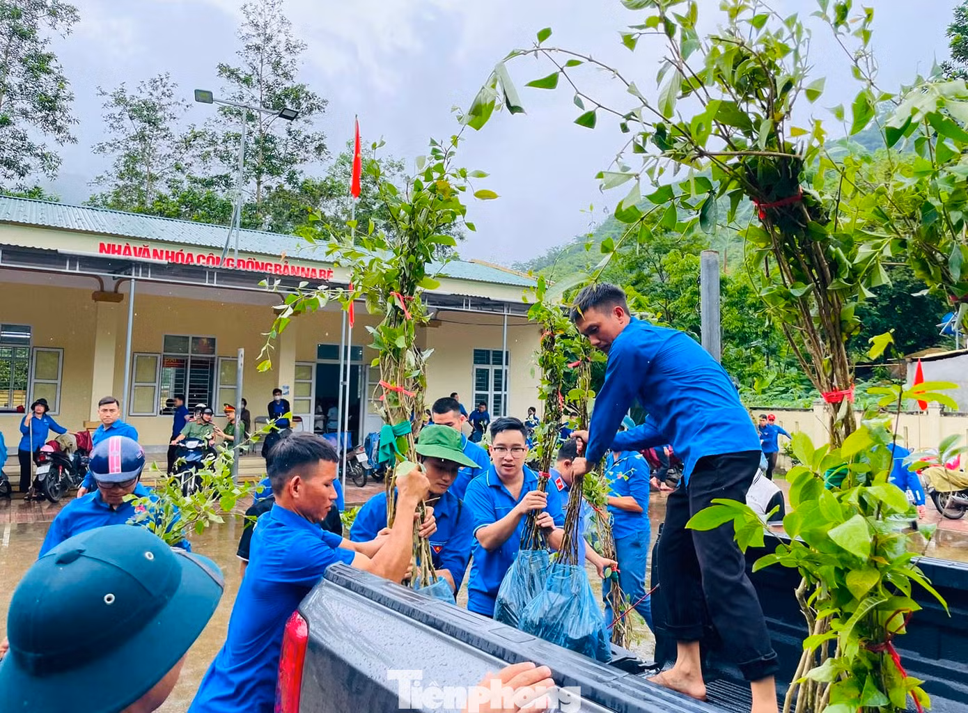 Hưởng ứng dịp ra quân Chiến dịch thanh niên tình nguyện Hè 2024, toàn tỉnh Nghệ An đã trồng mới hơn 3.500 cây xanh.