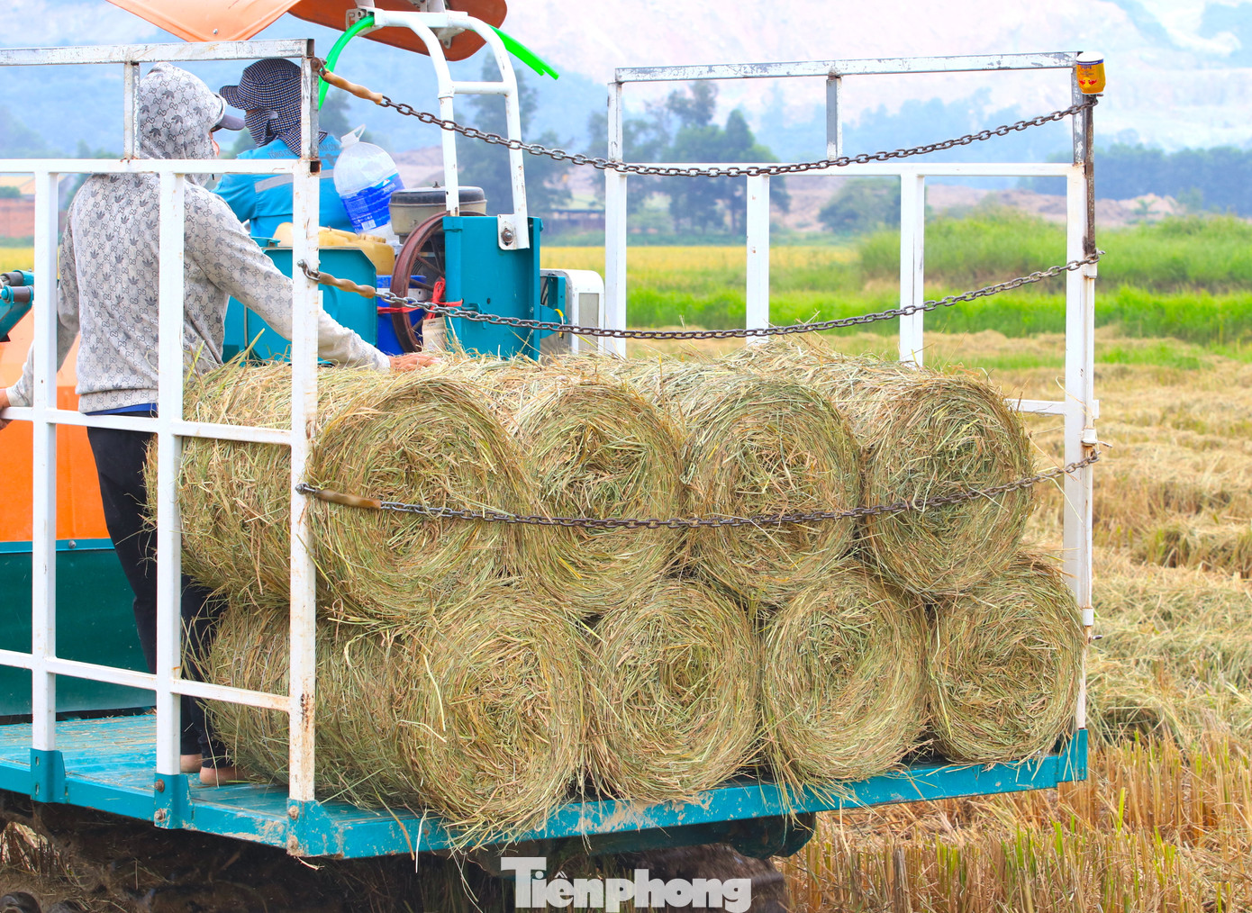 "Mỗi năm tôi làm được 2 mùa kéo dài khoảng 5 tháng. Cứ đi từ Thanh Hóa vào đến tận Thừa Thiên Huế. Cứ vùng nào thu hoạch xong lúa là tôi đến thu gom. Mỗi ngày thu nhập khá cao nhưng chi phí cũng nhiều. Mỗi thợ được trả công theo ngày từ 800-1 triệu đồng", anh Hoàng Văn Quân nói và cho hay, sau khi trừ đi các chi phí, mỗi năm anh thu về hơn 200 triệu đồng nhờ những cuộn rơm.