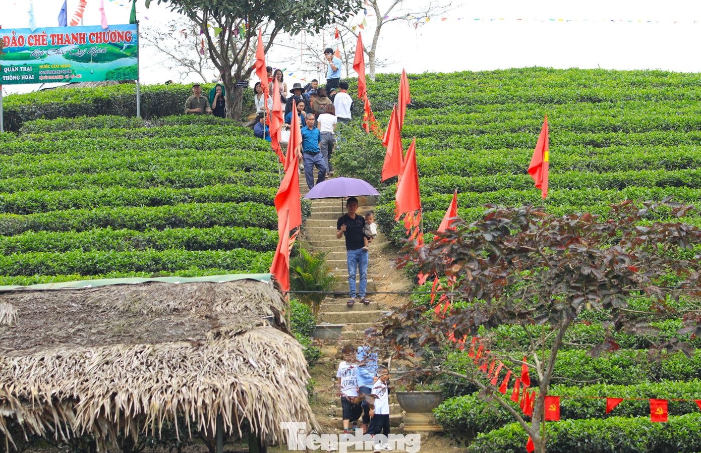 Những ngày đầu năm mới, du khách thập phương lại du xuân đến đảo chè để chụp ảnh check in.