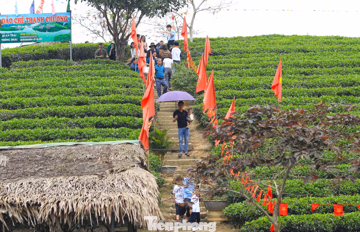Những ngày đầu năm mới, du khách thập phương lại du xuân đến đảo chè để chụp ảnh check in.