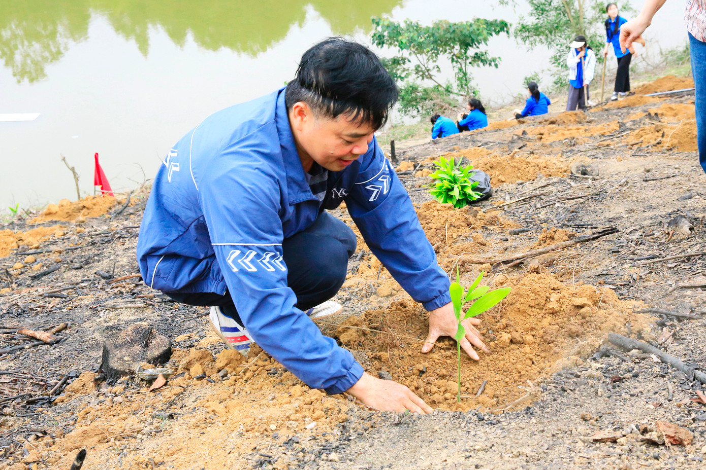 Khi hố đã được đào xong, nhóm phụ trách trồng sẽ đưa cây đến trồng xuống đất. Khi hố đã được đào xong, nhóm phụ trách trồng sẽ đưa cây đến trồng xuống đất.