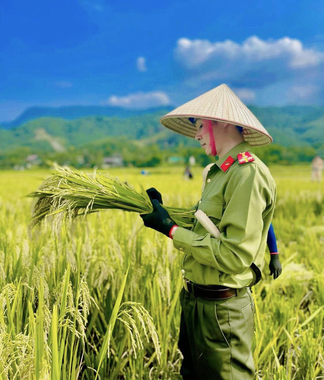 Dưới thời tiết nắng nóng, oi bức, các đoàn viên thanh niên Công an huyện Quế Phong vẫn nhiệt tình gặt lúa giúp người dân.