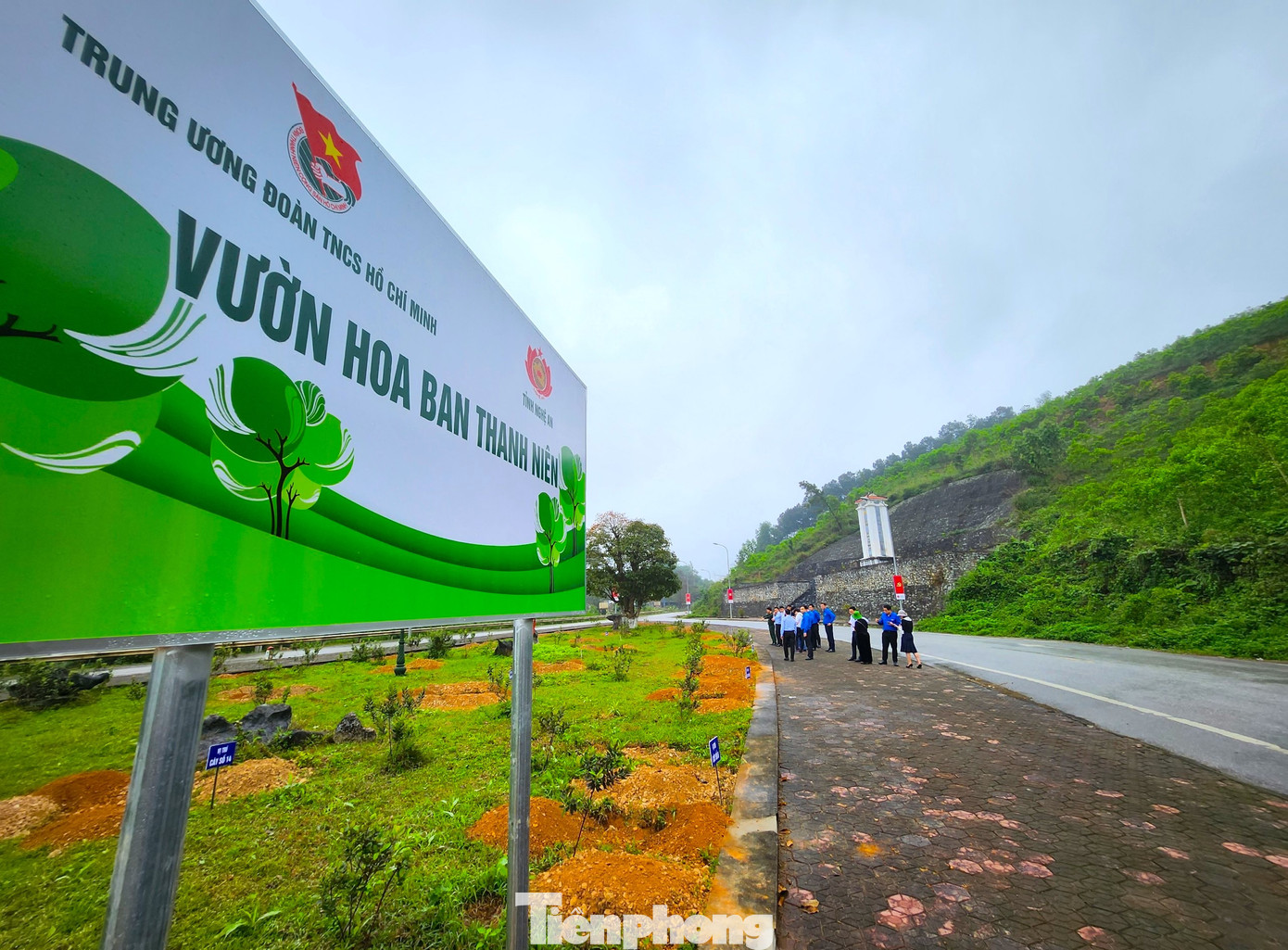 Những cây xanh sẽ tạo nên "Vườn hoa ban thanh niên" tươi đẹp.