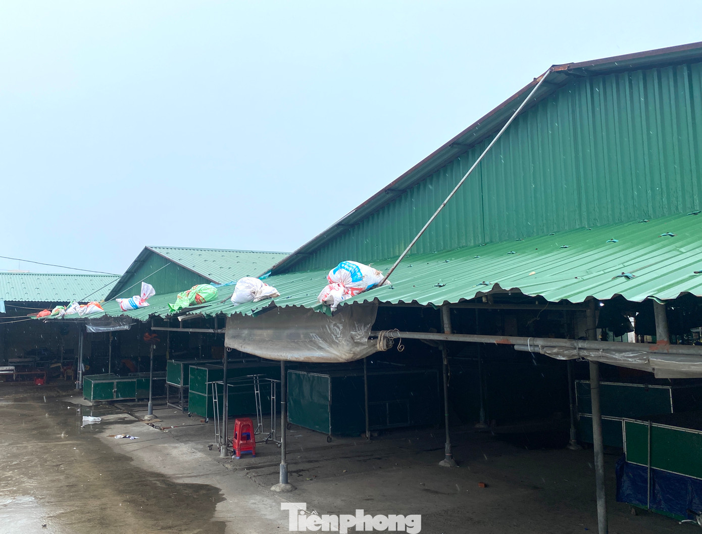 Những mái tôn khu vực chợ bến cá Nghi Thủy đã được chằng néo cẩn thận. Những mái tôn khu vực chợ bến cá Nghi Thủy đã được chằng néo cẩn thận.