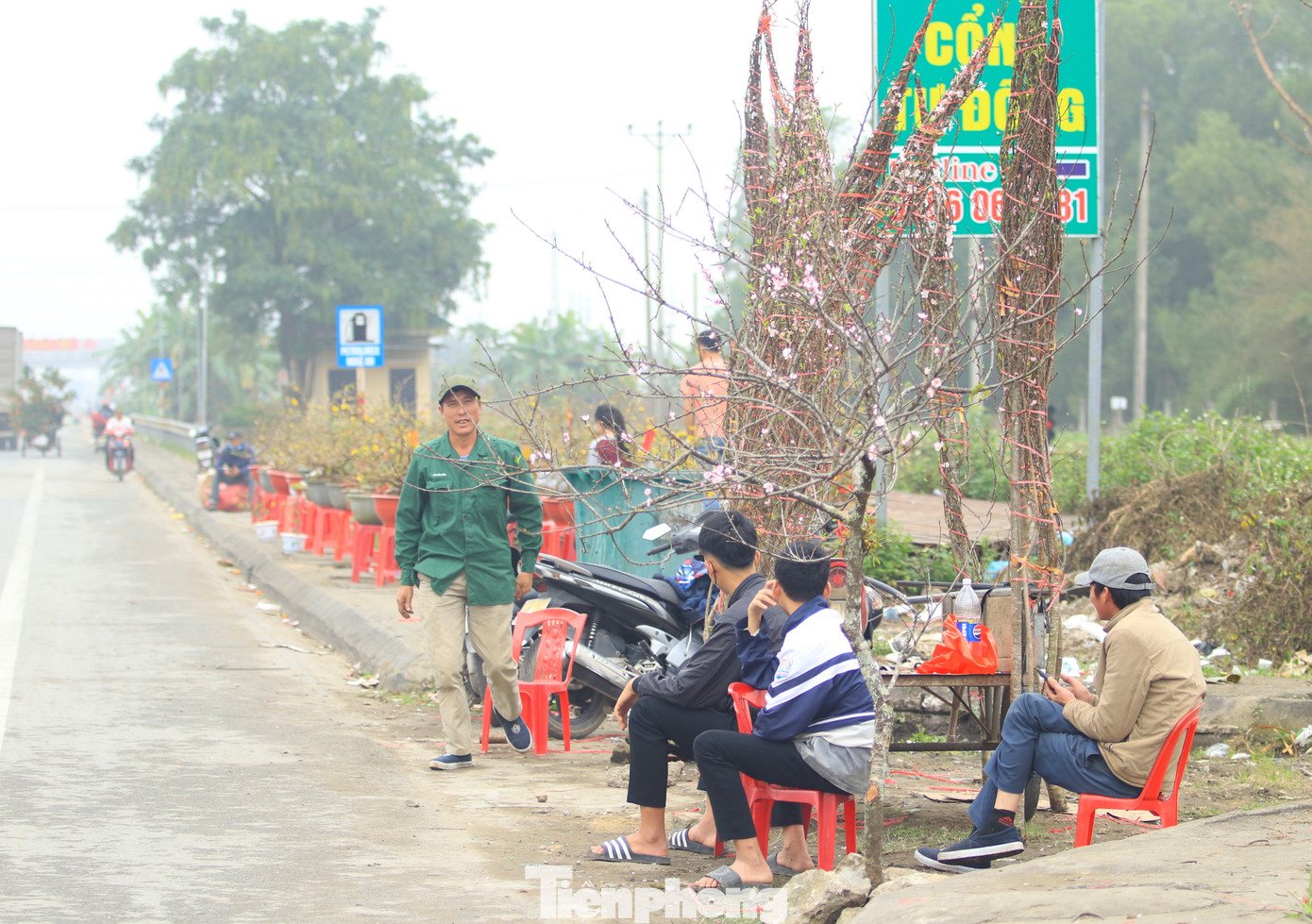 Trên quốc lộ 1A đoạn qua địa bàn thị trấn Quán Hành (huyện Nghi Lộc, Nghệ An) dịp này hai bên đường được các thương lái tận dụng để dựng bán đào đá.