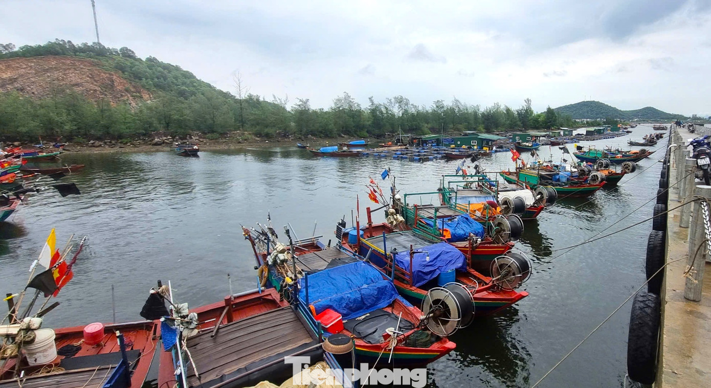 Trưa 6/9, ngư dân tại xã Nghi Quang (Nghi Lộc, Nghệ An) đã neo đậu tàu thuyền vào bến bãi, dùng bạt phủ kín khu vực máy, thiết bị, tài sản trên thuyền để tránh bị ảnh hưởng do mưa, gió của cơn bão số 3. Theo người dân địa phương, mặc dù không phải là khu vực bão vào trực tiếp, tuy nhiên lo sợ ảnh hưởng của hoàn lưu bão, người dân vẫn neo đậu kỹ tàu thuyền để tránh hư hỏng tài sản. Trưa 6/9, ngư dân tại xã Nghi Quang (Nghi Lộc, Nghệ An) đã neo đậu tàu thuyền vào bến bãi, dùng bạt phủ kín khu vực máy, thiết bị, tài sản trên thuyền để tránh bị ảnh hưởng do mưa, gió của cơn bão số 3. Theo người dân địa phương, mặc dù không phải là khu vực bão vào trực tiếp, tuy nhiên lo sợ ảnh hưởng của hoàn lưu bão, người dân vẫn neo đậu kỹ tàu thuyền để tránh hư hỏng tài sản.