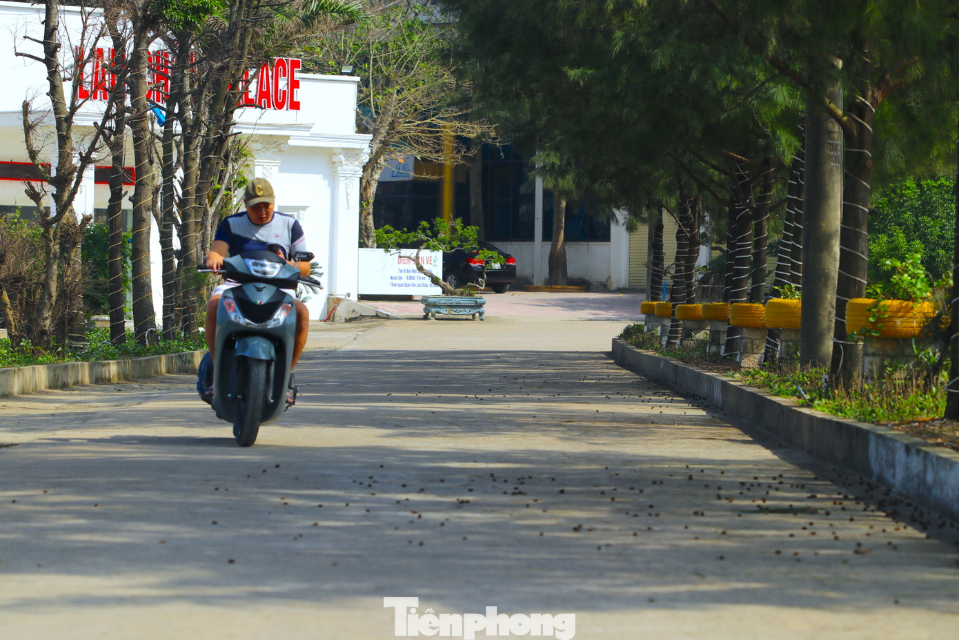 Đường dẫn ra đảo Lan Châu được quy hoạch là đường đá dài 120m nhưng chủ đầu tư đã cho đổ bê tông. Đường dẫn ra đảo Lan Châu được quy hoạch là đường đá dài 120m nhưng chủ đầu tư đã cho đổ bê tông.