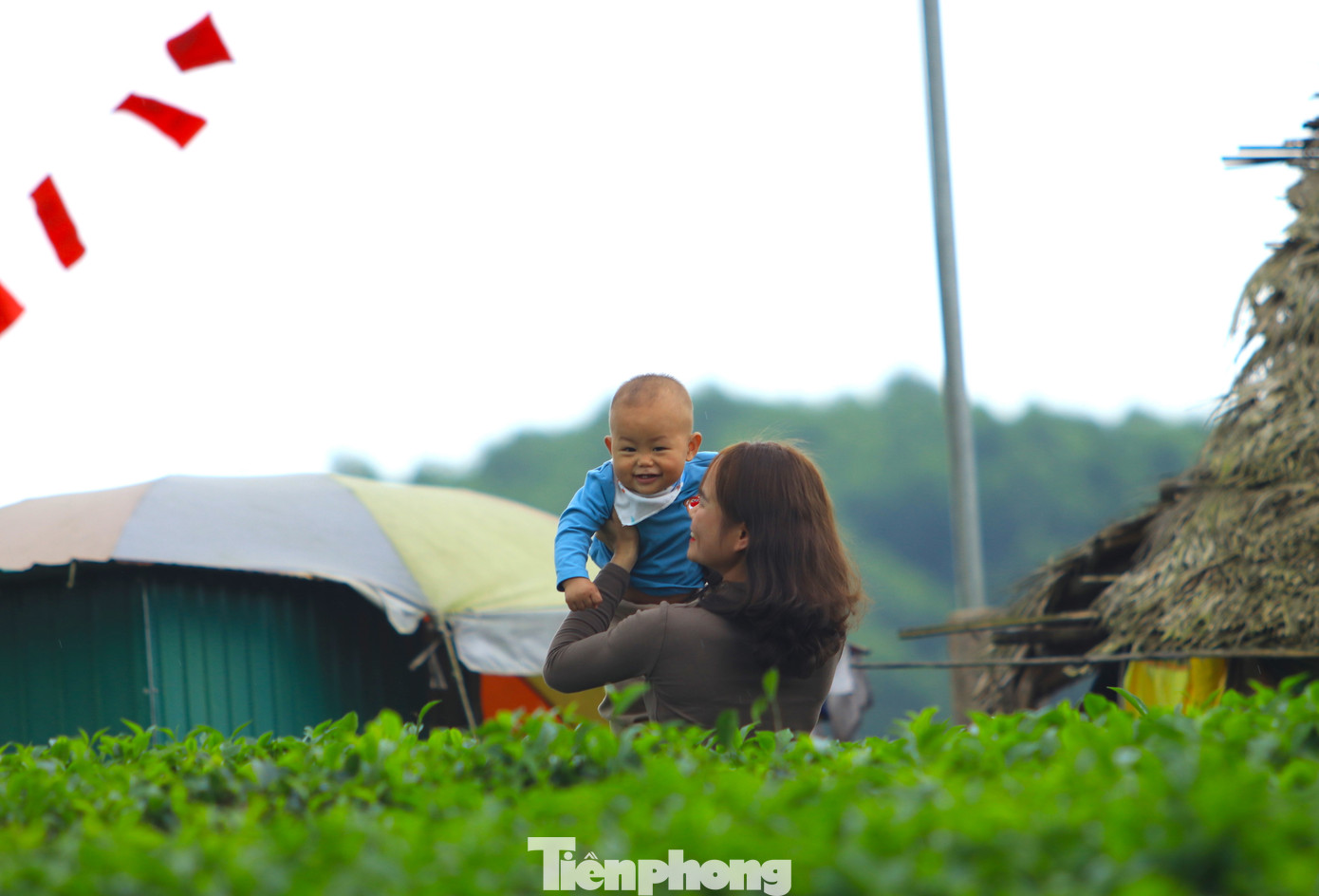 Nhiều em nhỏ thích thú khi được gia đình đưa đến tham quan đồi chè xanh mướt.