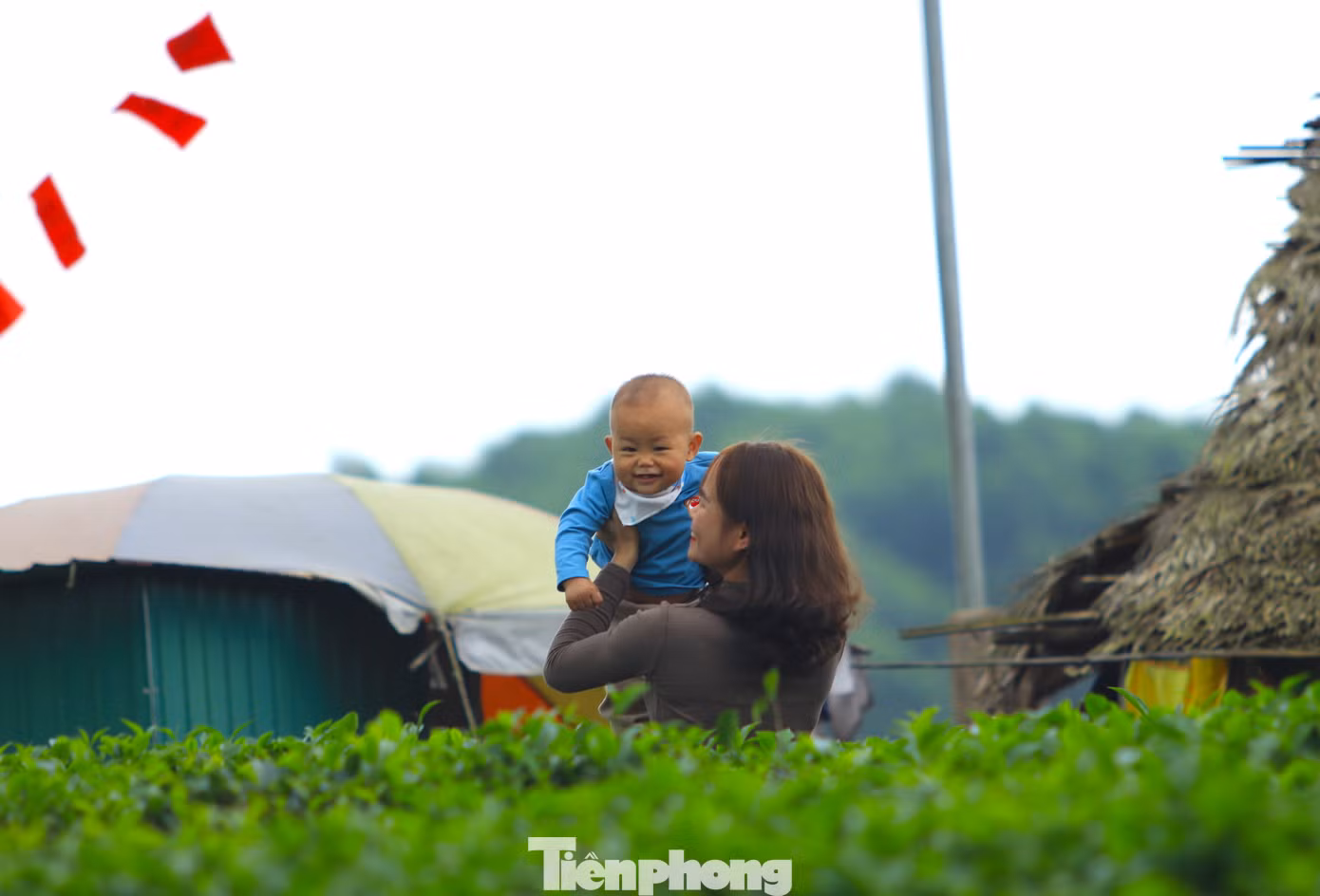 Nhiều em nhỏ thích thú khi được gia đình đưa đến tham quan đồi chè xanh mướt.