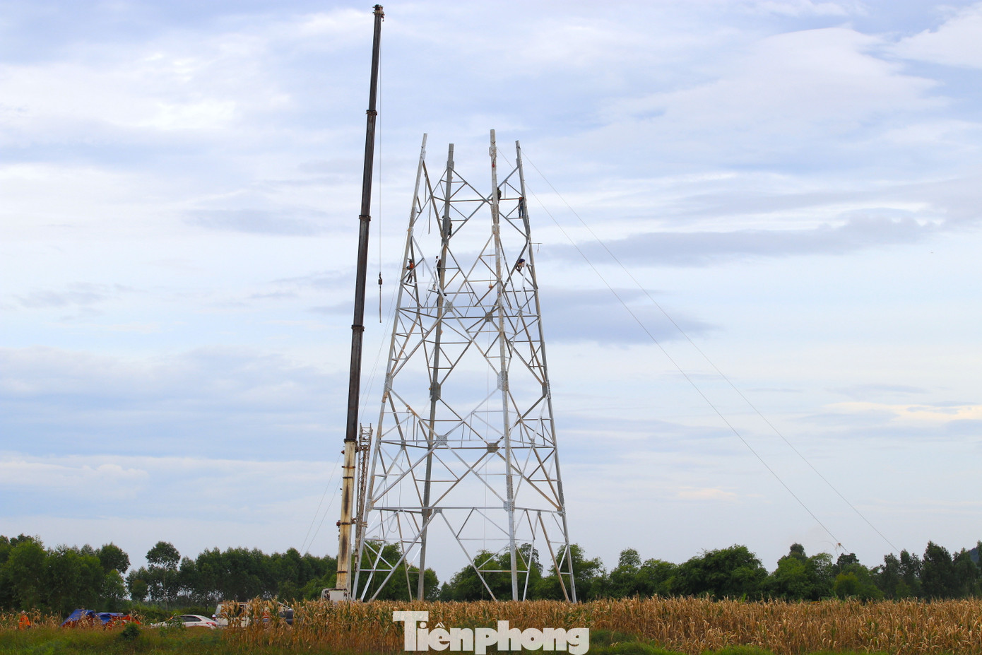 Cột điện số 356 nằm giữa cánh đồng xã Nghi Kiều (huyện Nghi Lộc, Nghệ An) nên một chiếc cẩu trọng tải lớn có thể vào tận chân công trường để hỗ trợ lắp đặt. Tuy nhiên, khối lượng công việc nhiều nên việc lắp đặt cột điện cũng mất khoảng 10 ngày mới có thể hoàn thiện.