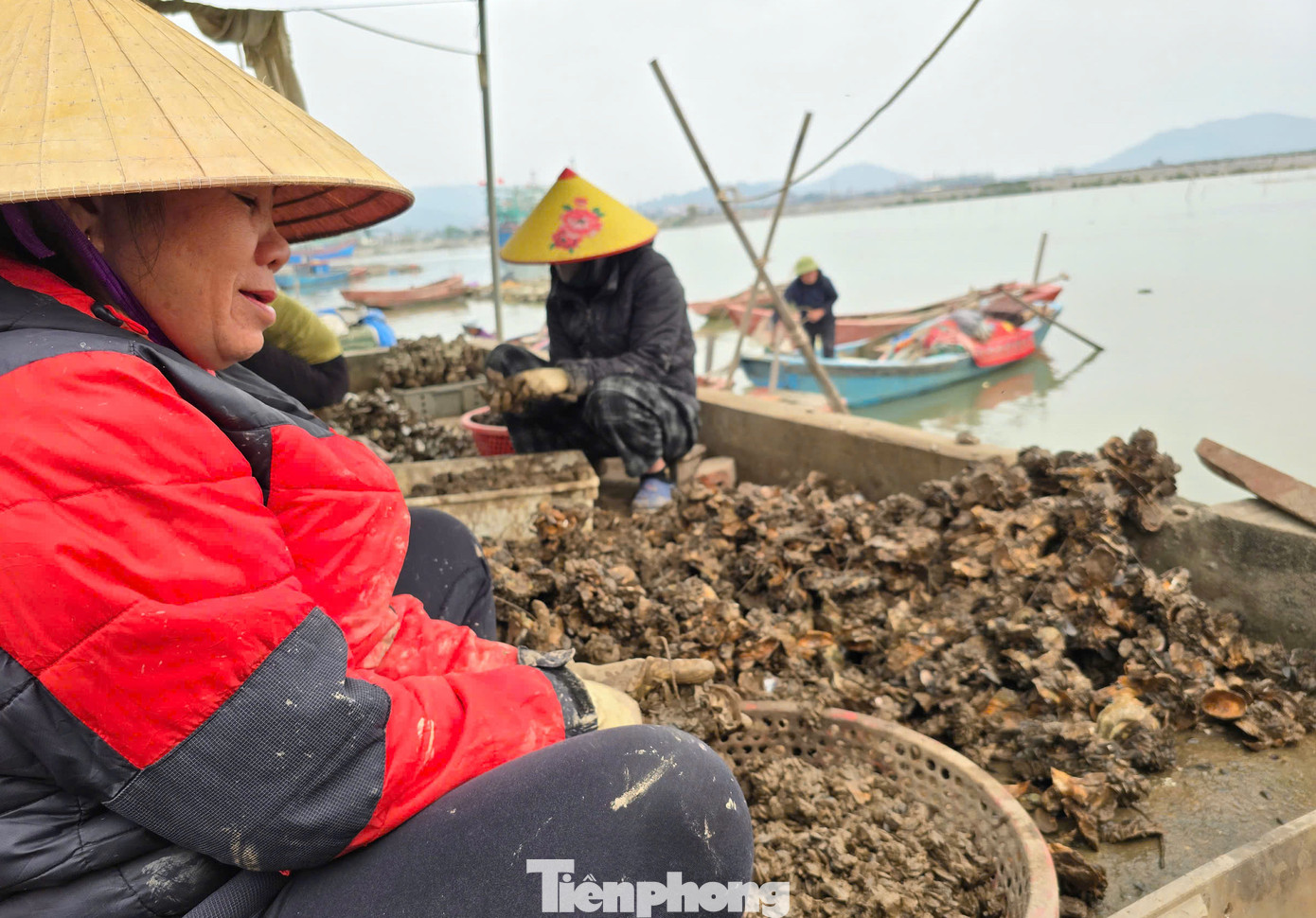Bà Danh cho biết, nghề đục hàu không đòi hỏi kỹ thuật khéo léo nhưng cần sự nhẫn nại, chịu khó. "Trước đi đục hàu ở bãi đá tự nhiên thì nguy hiểm vì thủy triều lên xuống thất thường, đá trơn trượt dễ ngã xuống biển. Giờ ngồi một chỗ thì chỉ cần chịu khó. Ngồi thời gian dài cũng đau lưng lắm", bà Danh nói và cho biết, mỗi kg hàu thành phẩm bà được trả 30 nghìn đồng. Một ngày, bà có thể kiếm được từ 150 đến 200 nghìn đồng từ việc đục hàu thuê. Bà Danh cho biết, nghề đục hàu không đòi hỏi kỹ thuật khéo léo nhưng cần sự nhẫn nại, chịu khó. "Trước đi đục hàu ở bãi đá tự nhiên thì nguy hiểm vì thủy triều lên xuống thất thường, đá trơn trượt dễ ngã xuống biển. Giờ ngồi một chỗ thì chỉ cần chịu khó. Ngồi thời gian dài cũng đau lưng lắm", bà Danh nói và cho biết, mỗi kg hàu thành phẩm bà được trả 30 nghìn đồng. Một ngày, bà có thể kiếm được từ 150 đến 200 nghìn đồng từ việc đục hàu thuê.