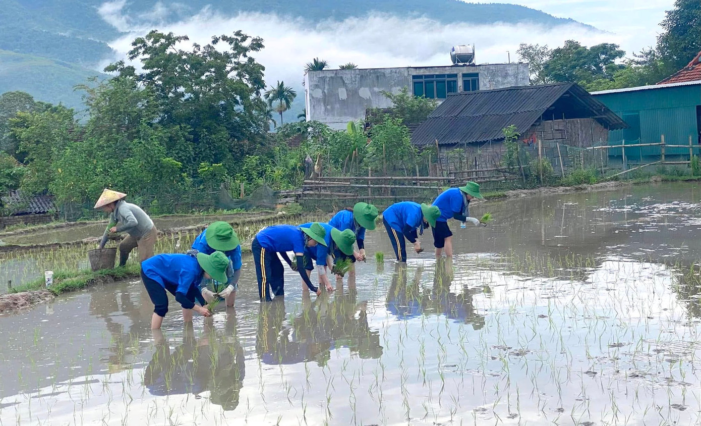 Hoạt động tình nguyện cấy lúa không đơn thuần chỉ giúp người dân “kịp mùa vụ”, mà còn góp phần lan tỏa những giá trị nhân văn sâu sắc: Sự sẻ chia, tinh thần trách nhiệm và lòng nhân ái. Nó cũng là dịp để thế hệ trẻ được trải nghiệm, rèn luyện và trưởng thành hơn giữa cuộc sống đời thường.