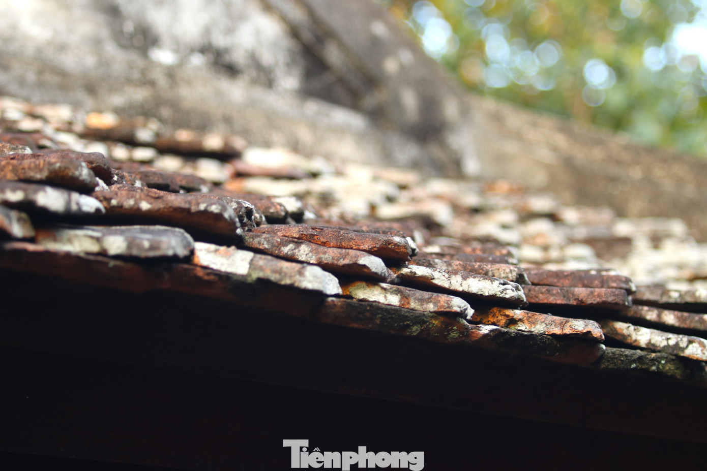 Những mái ngói phủ đầy rêu, những dòng chữ, những hình tượng được điêu khắc mang vẻ cổ kính.