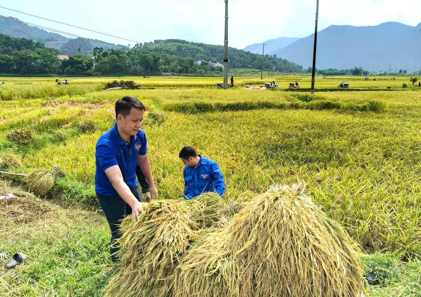 Các đoàn viên sẽ vận chuyển lên bờ và hỗ trợ đưa về nhà giúp người dân.