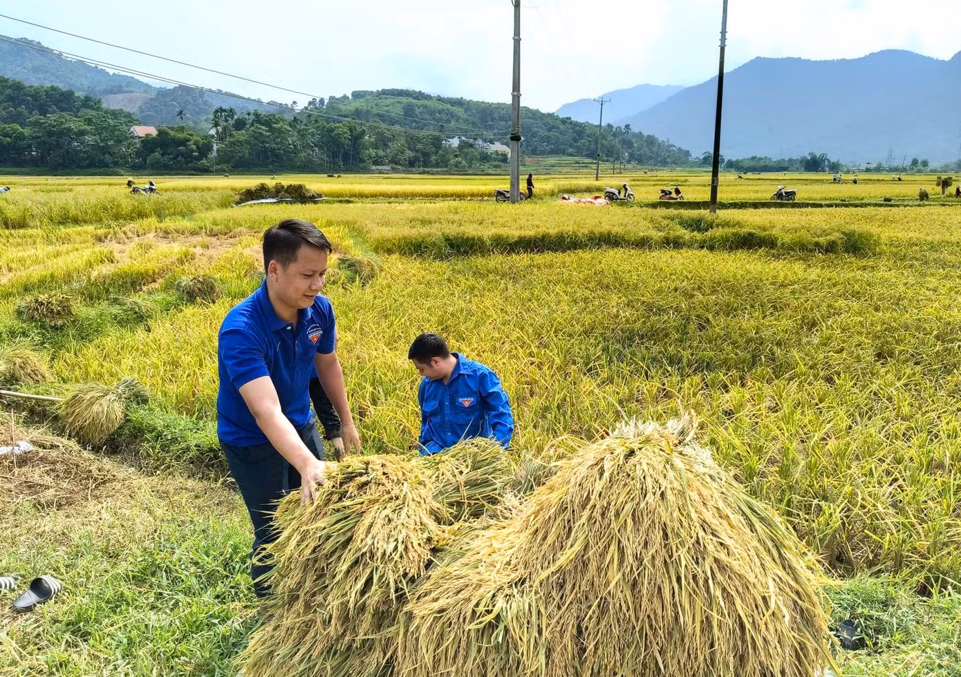 Các đoàn viên sẽ vận chuyển lên bờ và hỗ trợ đưa về nhà giúp người dân.