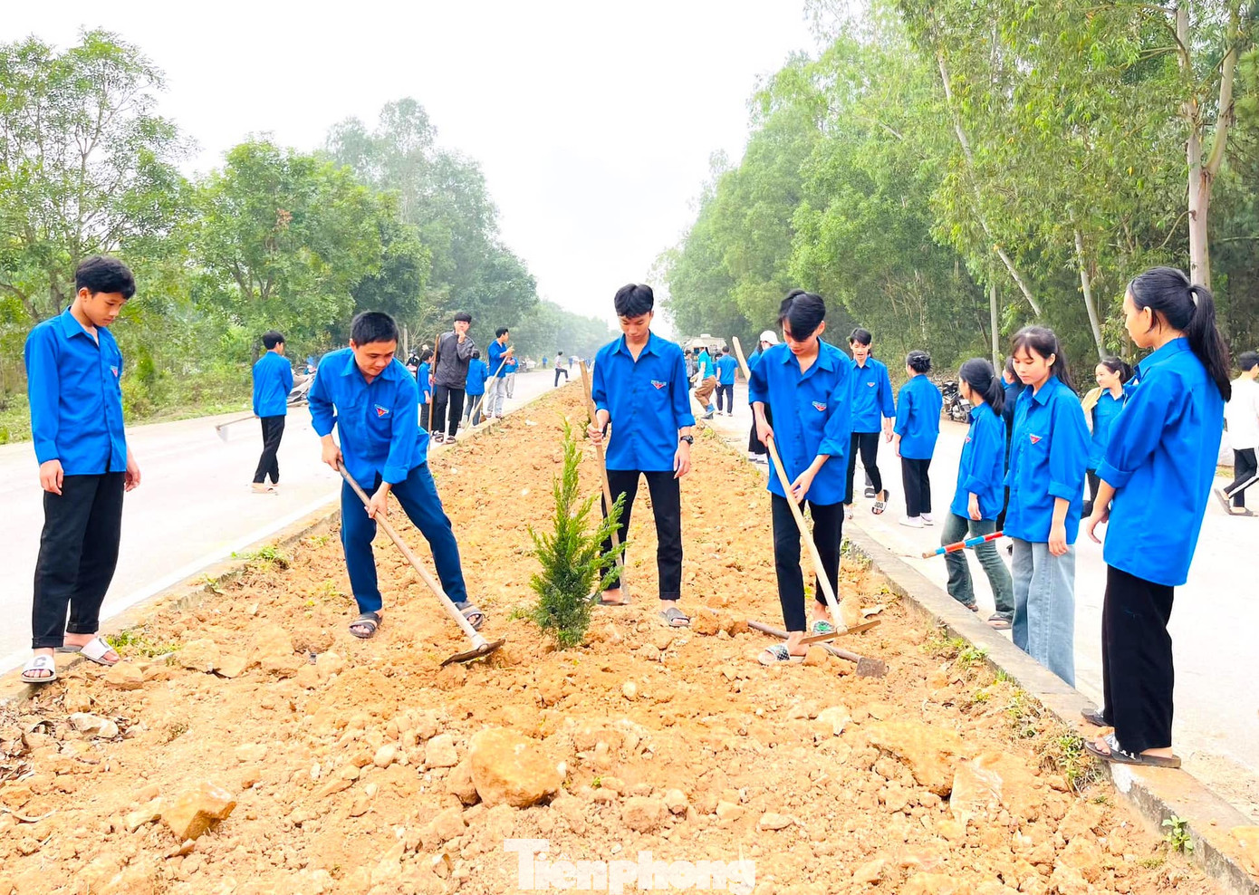 10.500 cây xanh được trồng mới. 156 công trình “Đường cây thanh niên”, “Vườn hoa thanh niên”, Vườn ươm thanh niên”, “Tuyến đường thanh niên sáng - xanh - sạch - đẹp - an toàn - văn minh” được xây dựng.