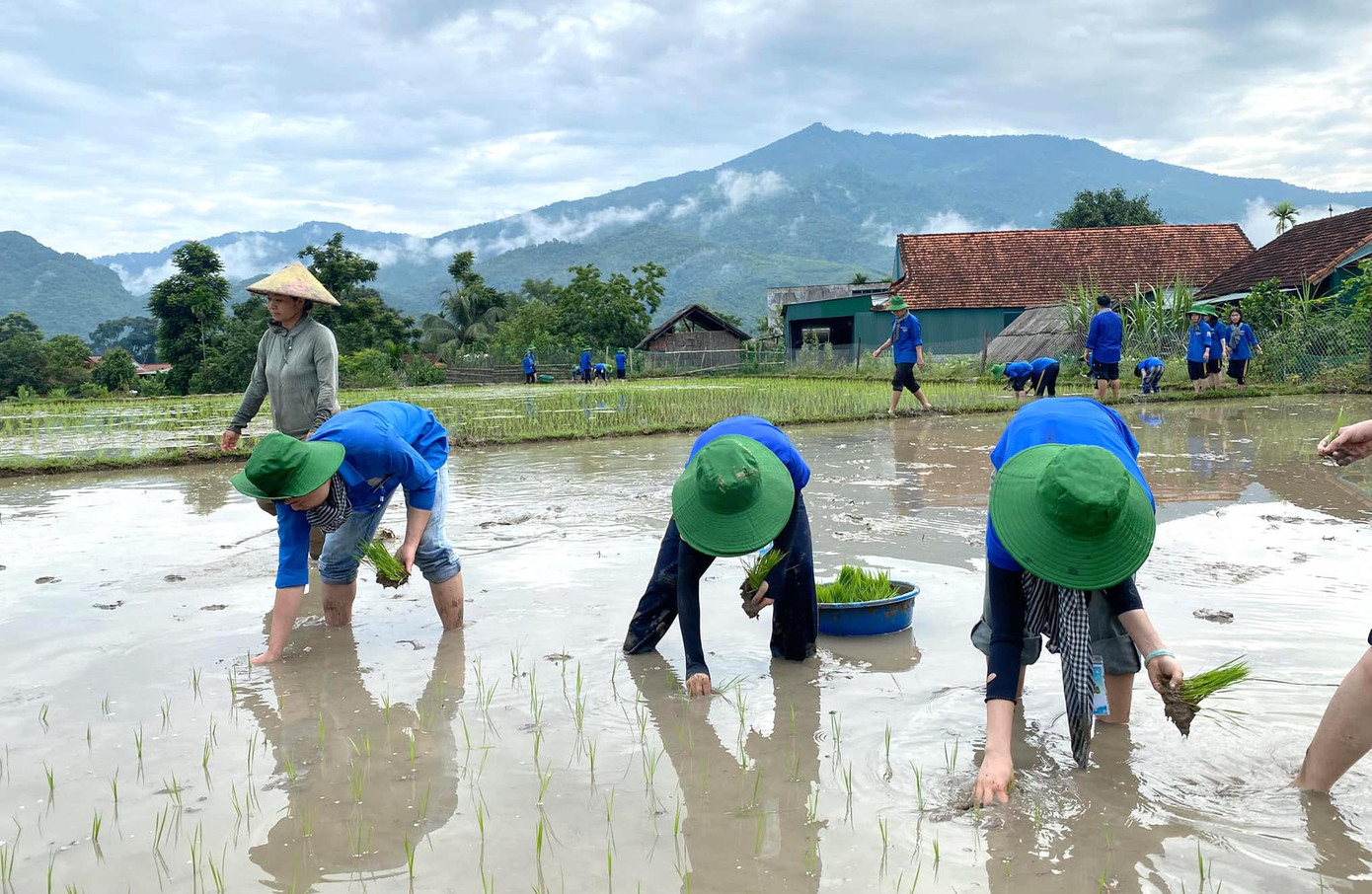 “Mỗi nhánh mạ được cấy xuống là một lời chúc mùa màng bội thu, là tình cảm chân thành mà chúng em muốn gửi tới bà con nơi đây” - một bạn sinh viên trong đội tình nguyện chia sẻ.