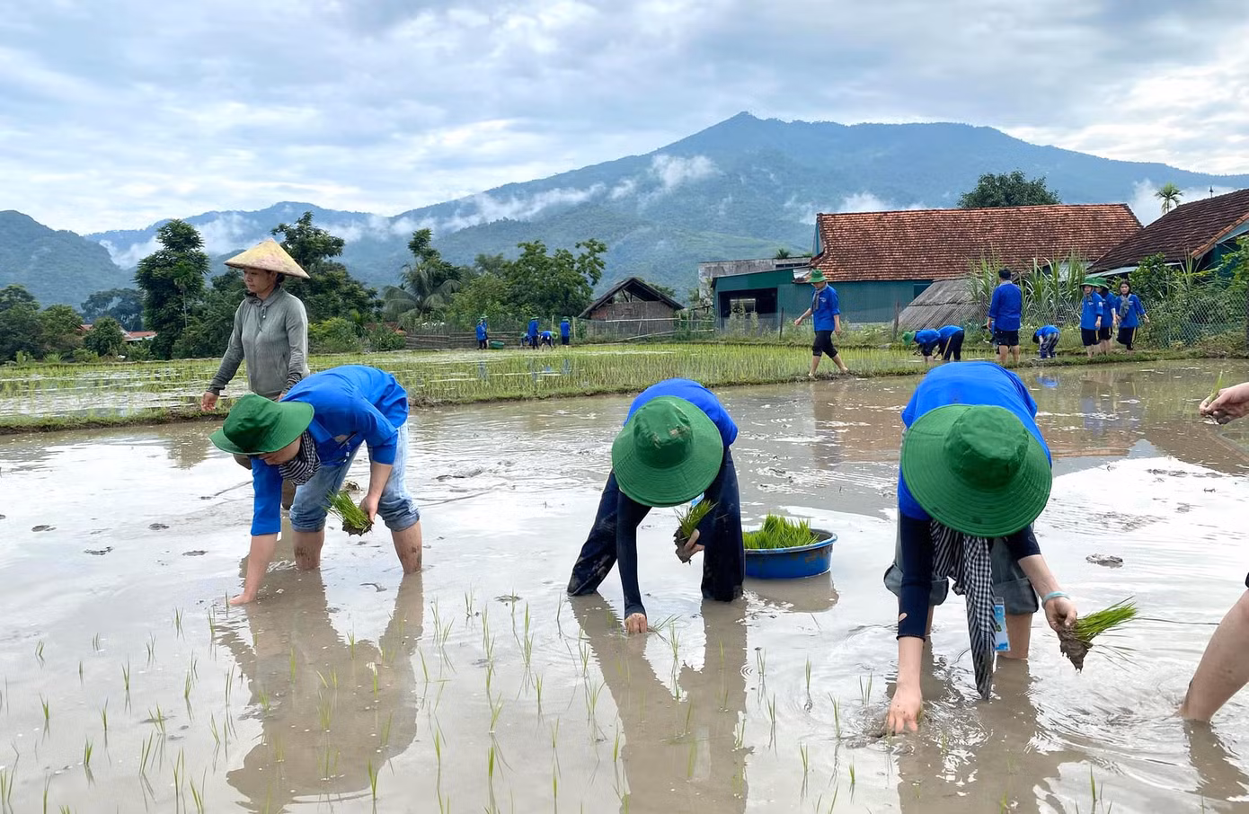 “Mỗi nhánh mạ được cấy xuống là một lời chúc mùa màng bội thu, là tình cảm chân thành mà chúng em muốn gửi tới bà con nơi đây” - một bạn sinh viên trong đội tình nguyện chia sẻ.