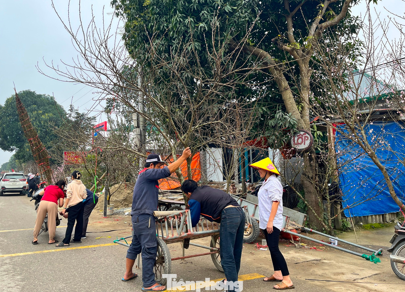 Khi có người mua, các tiểu thương sẽ liên hệ những người vận chuyển để đưa đào về tận nơi cho khách trưng Tết.