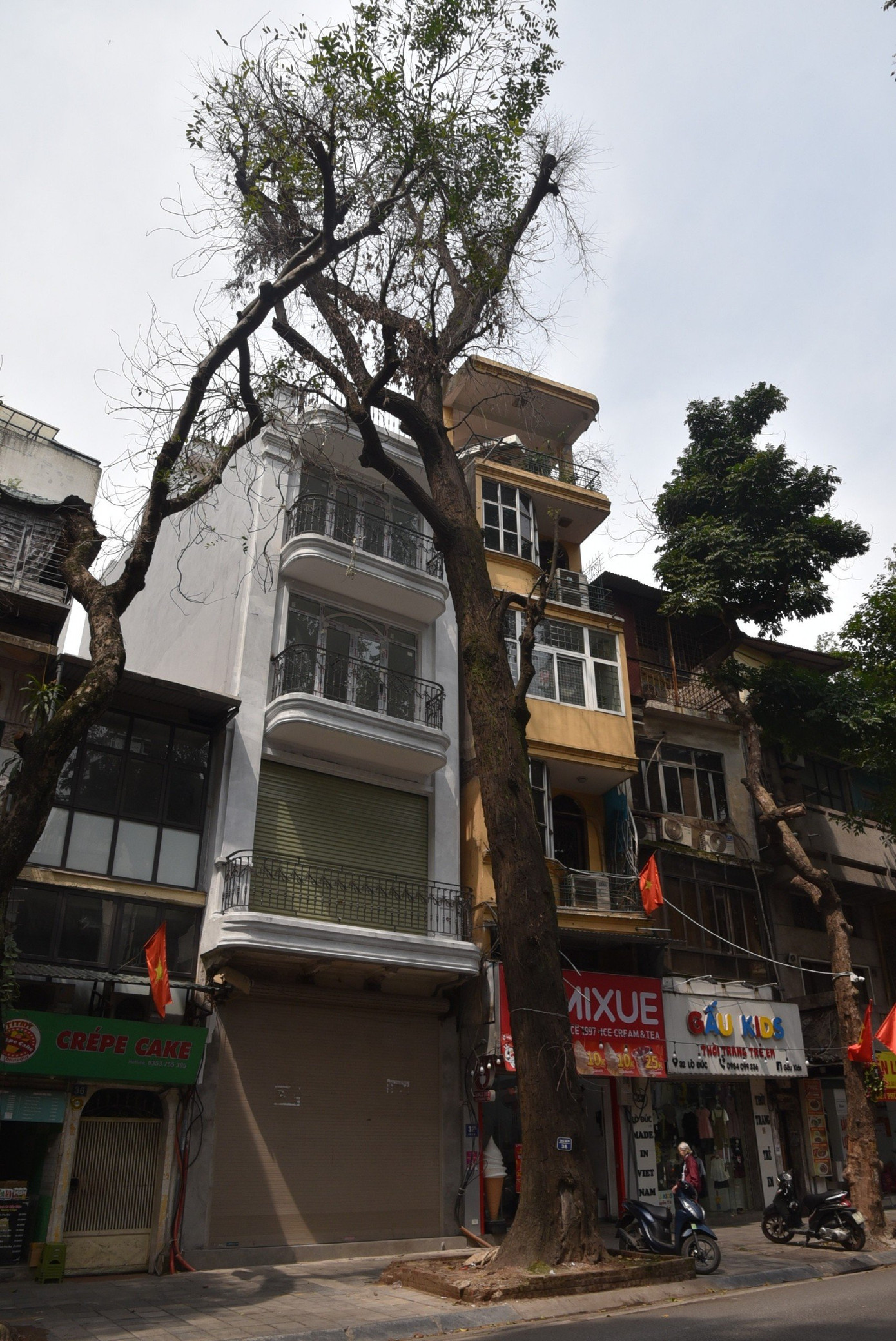 Trong 4 cây sao đen bị chết, cây trước nhà số 71 đường kính 60 cm, cao 12,5 m, được xác định chết từ năm 2019. Cây trước nhà số 65 đường kính 60 cm, cao 12,5 m chết cuối năm 2023.