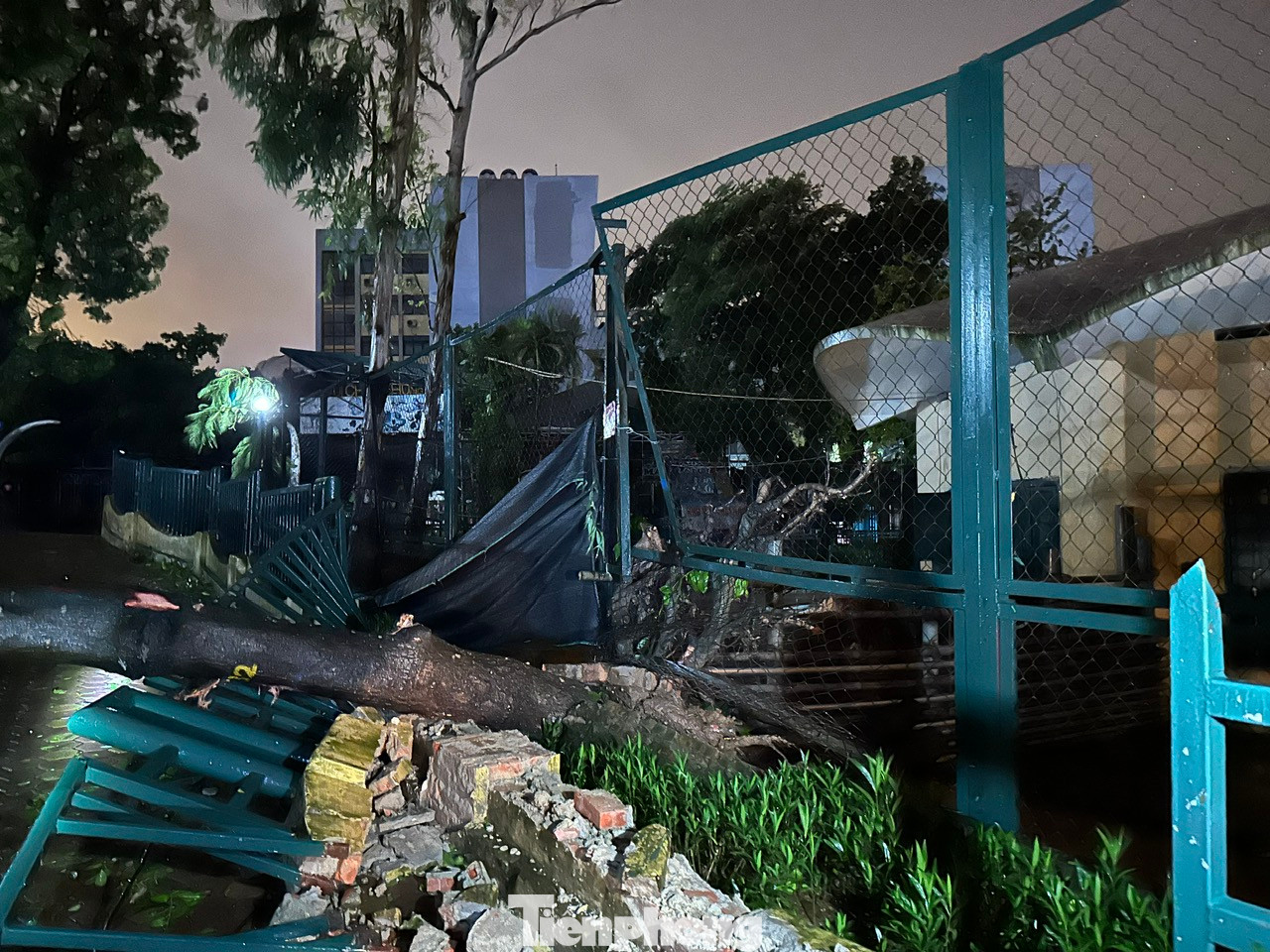 Tại Công viên Thủ lệ (Vườn thú Hà Nội), 32 cây bóng mát bị đổ, 16 cây gãy cành, các hoa bồn bị dập nát hoàn toàn