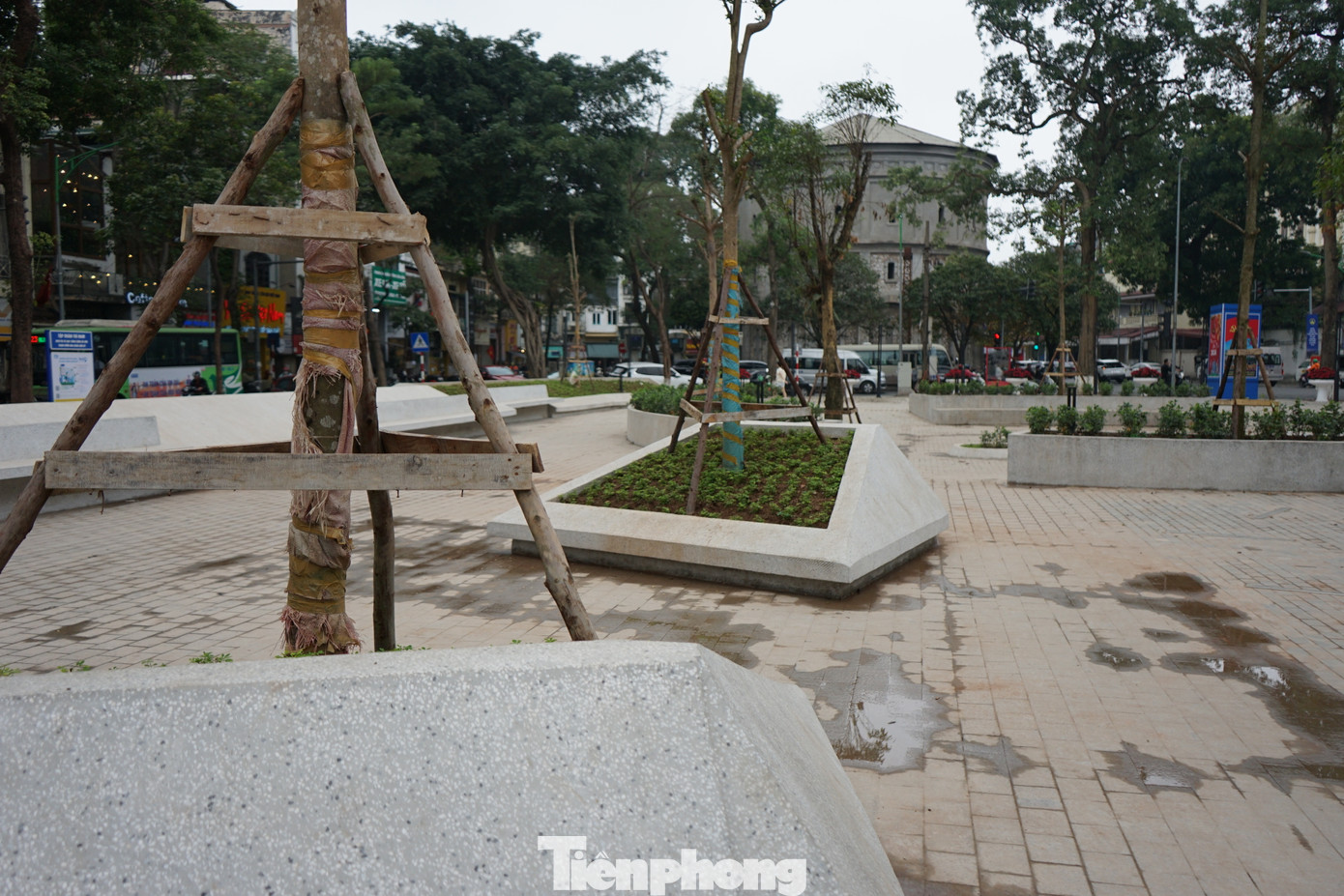 Dịp Tết Nguyên đán vừa qua, UBND quận Ba Đình chính thức khai trương vườn hoa sau thời gian đầu tư cải tạo.