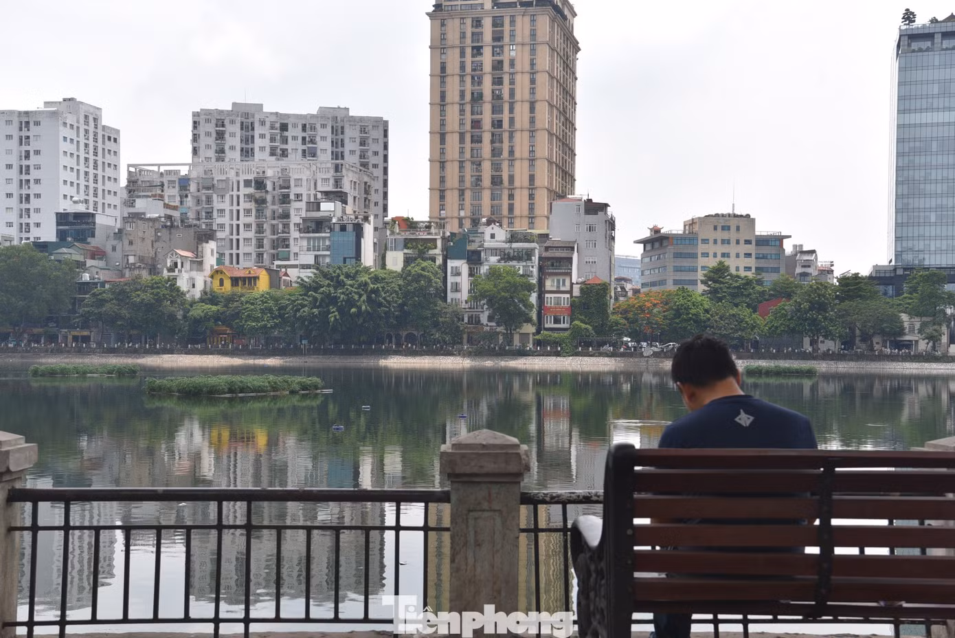 Đại diện UBND quận Đống Đa nhấn mạnh quận không triển khai phố đi bộ mà hướng đến một điểm vui chơi, nghỉ ngơi, tham quan hấp dẫn trên địa bàn Hà Nội. Đại diện UBND quận Đống Đa nhấn mạnh quận không triển khai phố đi bộ mà hướng đến một điểm vui chơi, nghỉ ngơi, tham quan hấp dẫn trên địa bàn Hà Nội.