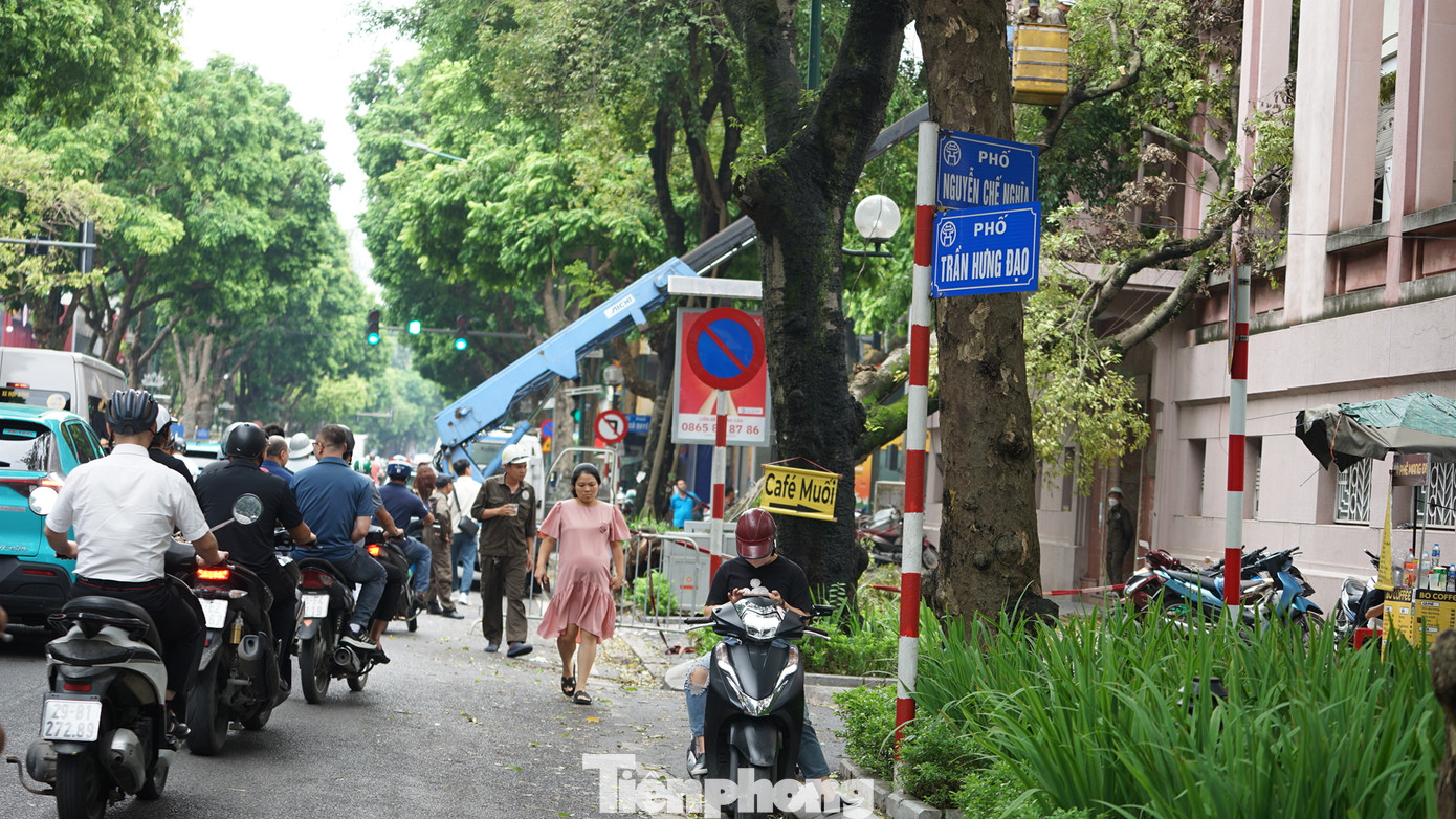 Nhiều tuyến phố đã huy động các lực lượng dân sự để thu dọn cây xanh gãy đổ đảm bảo yêu cầu của Chủ tịch UBND TP Hà Nội đề ra.