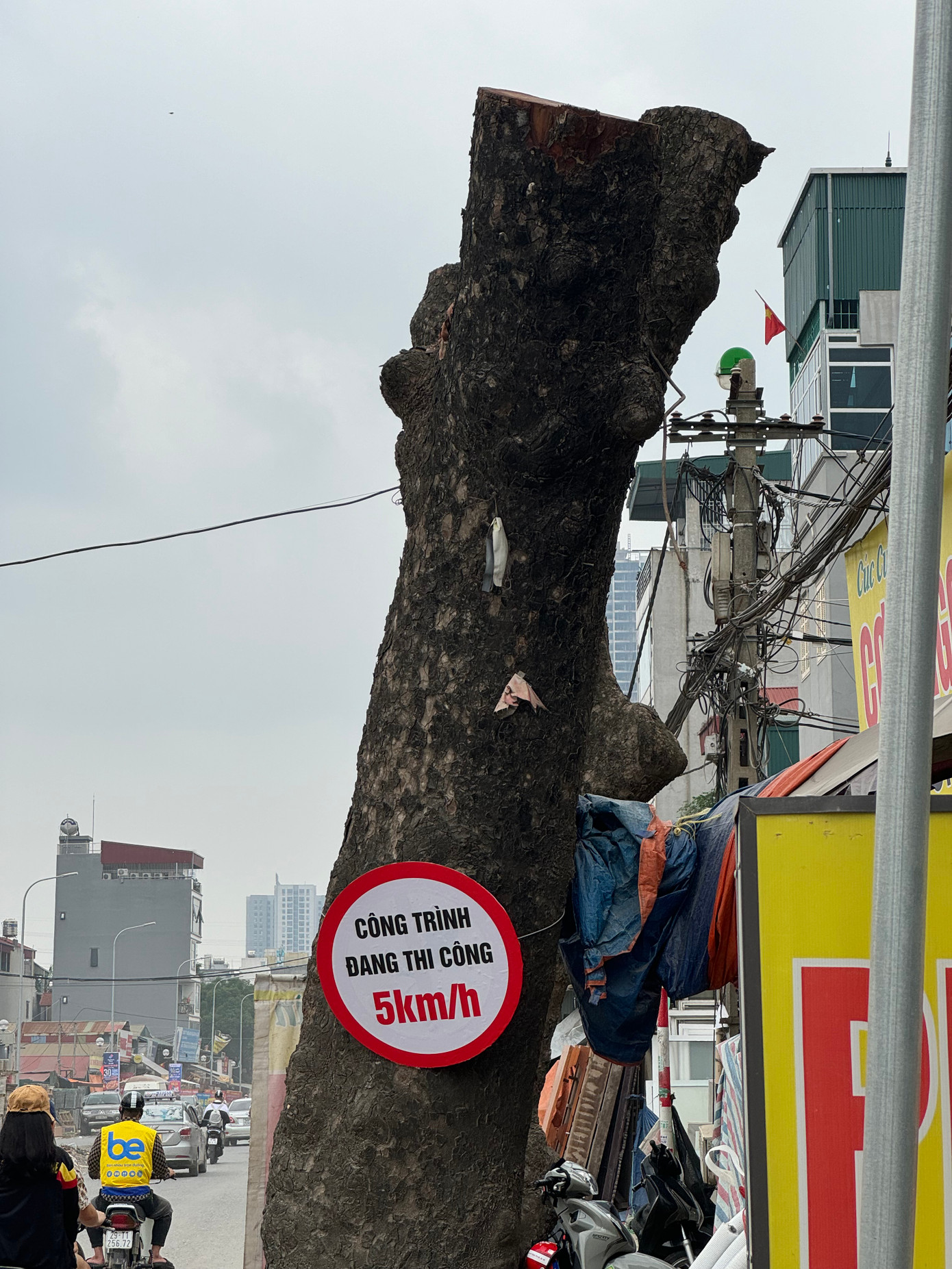 Dự án Xây dựng tuyến đường từ đường Tố Hữu đến đường 70 kéo dài (từ làng Vạn Phúc, quận Hà Đông đến tổ dân phố Tháp), phường Đại Mỗ, quận Nam Từ Liêm có chiều dài 2.067m, bề rộng mặt đường 30m, dải phân cách giữa rộng 3m và vỉa hè mỗi bên rộng 6m.