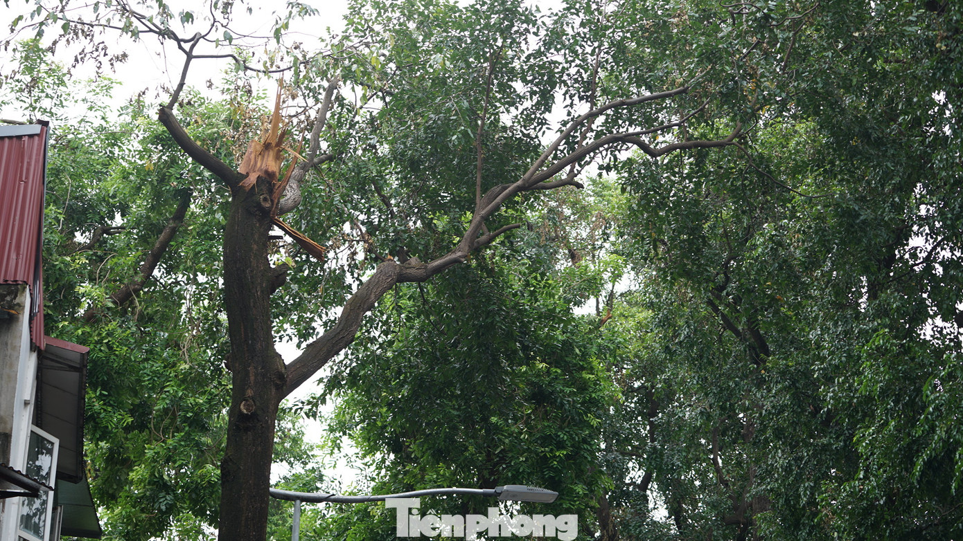 Ghi nhận của PV Tiền Phong ngày 17/9 cho thấy, các tuyến phố chính của Hà Nội thuộc các quận nội đô đã cơ bản dọn dẹp xong cây gãy đổ. Ghi nhận của PV Tiền Phong ngày 17/9 cho thấy, các tuyến phố chính của Hà Nội thuộc các quận nội đô đã cơ bản dọn dẹp xong cây gãy đổ.