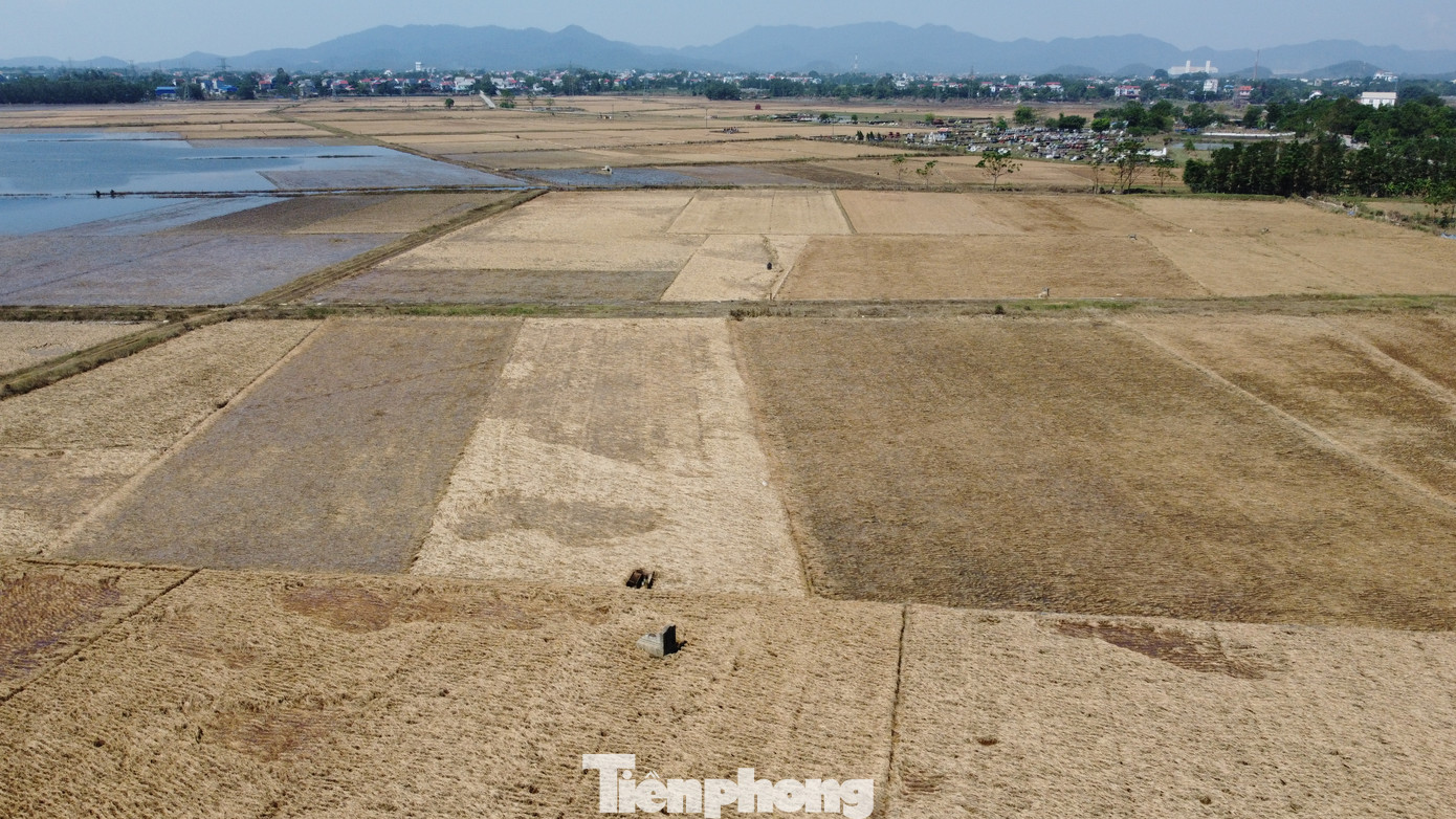 Một số người dân cho biết họ chờ nước rút hẳn rồi rắc vôi bột khử khuẩn để chuẩn bị cho mùa vụ tiếp theo. Một số người dân cho biết họ chờ nước rút hẳn rồi rắc vôi bột khử khuẩn để chuẩn bị cho mùa vụ tiếp theo.