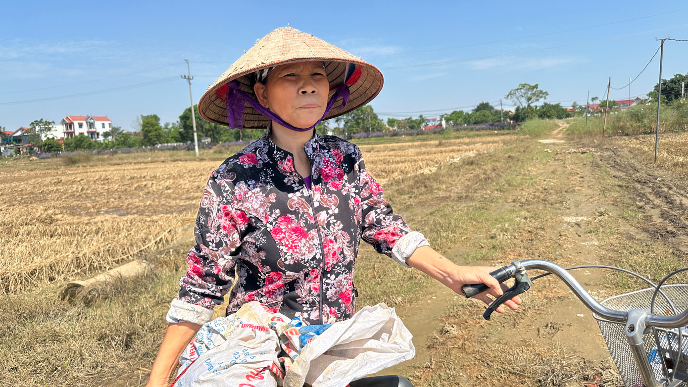 Bà Nguyễn Thị Thủy (thôn An Lạc) cho biết bà ra đồng để thu dọn trang trại. "Còn gì tôi nhặt nhạnh nốt về, vớt vát được gì vớt nốt. Đợt lũ vừa qua, nhà tôi huy động người đưa được một số gia cầm như ngan, gà tránh lũ trong nhà, còn gần một tấn cá và cây trồng ngoài này mất hết", bà Thủy nói. Bà Nguyễn Thị Thủy (thôn An Lạc) cho biết bà ra đồng để thu dọn trang trại. "Còn gì tôi nhặt nhạnh nốt về, vớt vát được gì vớt nốt. Đợt lũ vừa qua, nhà tôi huy động người đưa được một số gia cầm như ngan, gà tránh lũ trong nhà, còn gần một tấn cá và cây trồng ngoài này mất hết", bà Thủy nói.