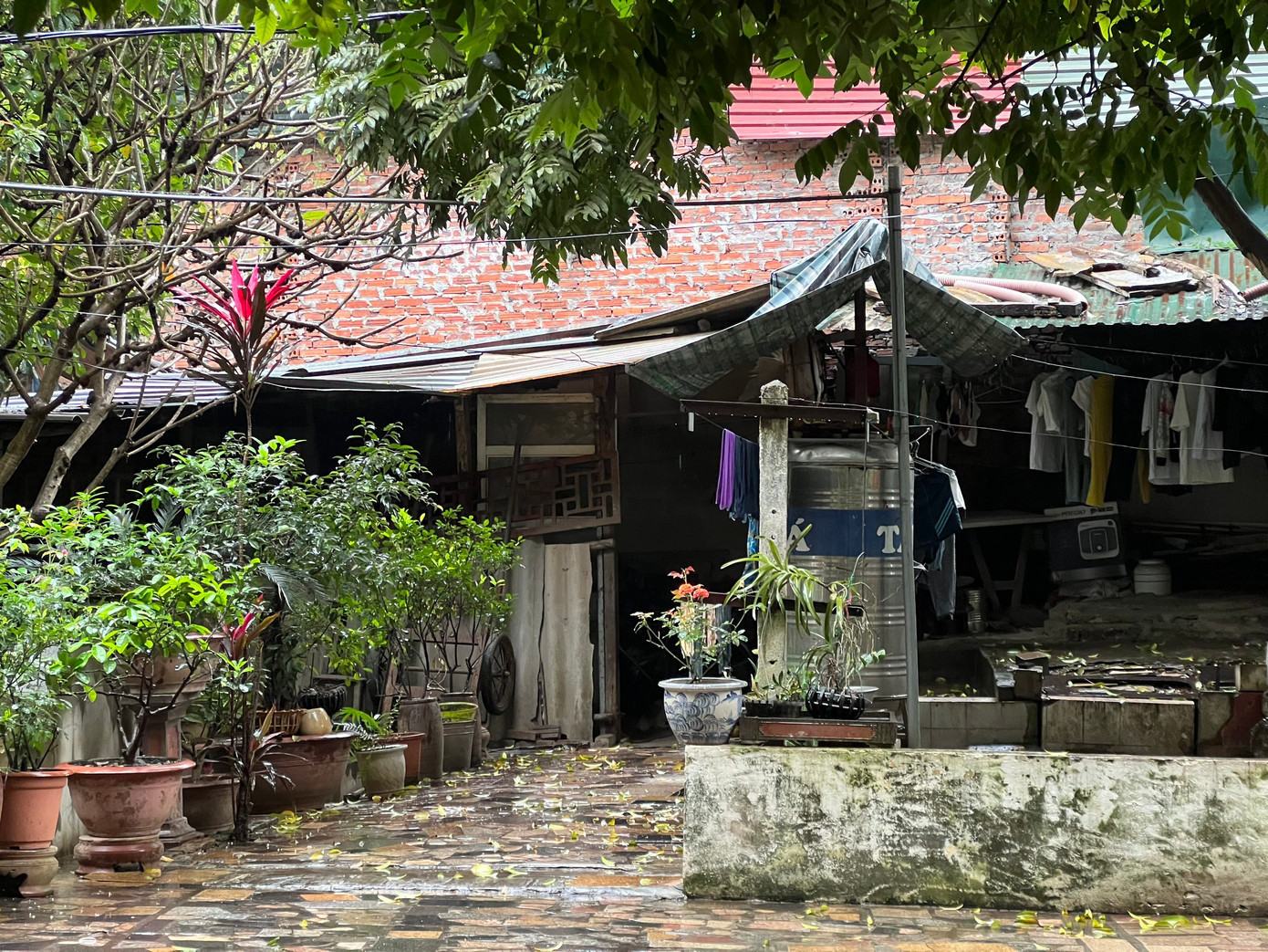 Đoàn Thanh tra quận Thanh Xuân xác định nhiều sai phạm liên quan đến cán bộ lãnh đạo Đội Thanh tra xây dựng và UBND phường Thanh Xuân Trung