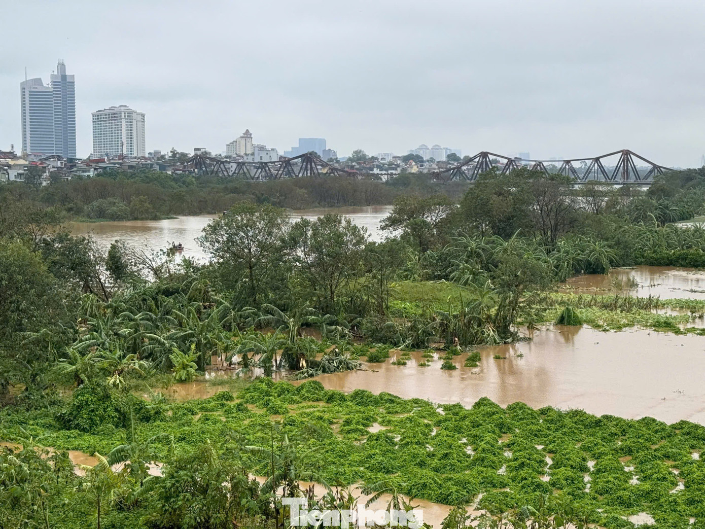 Lũ lên cao tại sông Hồng. Ảnh: Nguyễn Trọng Tài