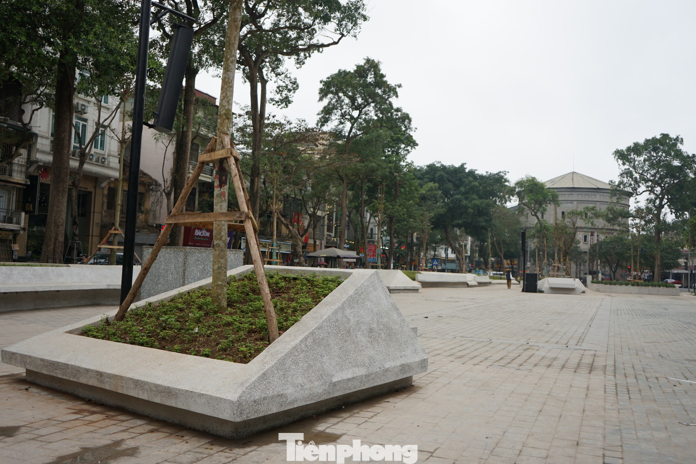 Vườn hoa có tổng diện tích khoảng 4.200m2 được cải tạo từ cuối năm 2023