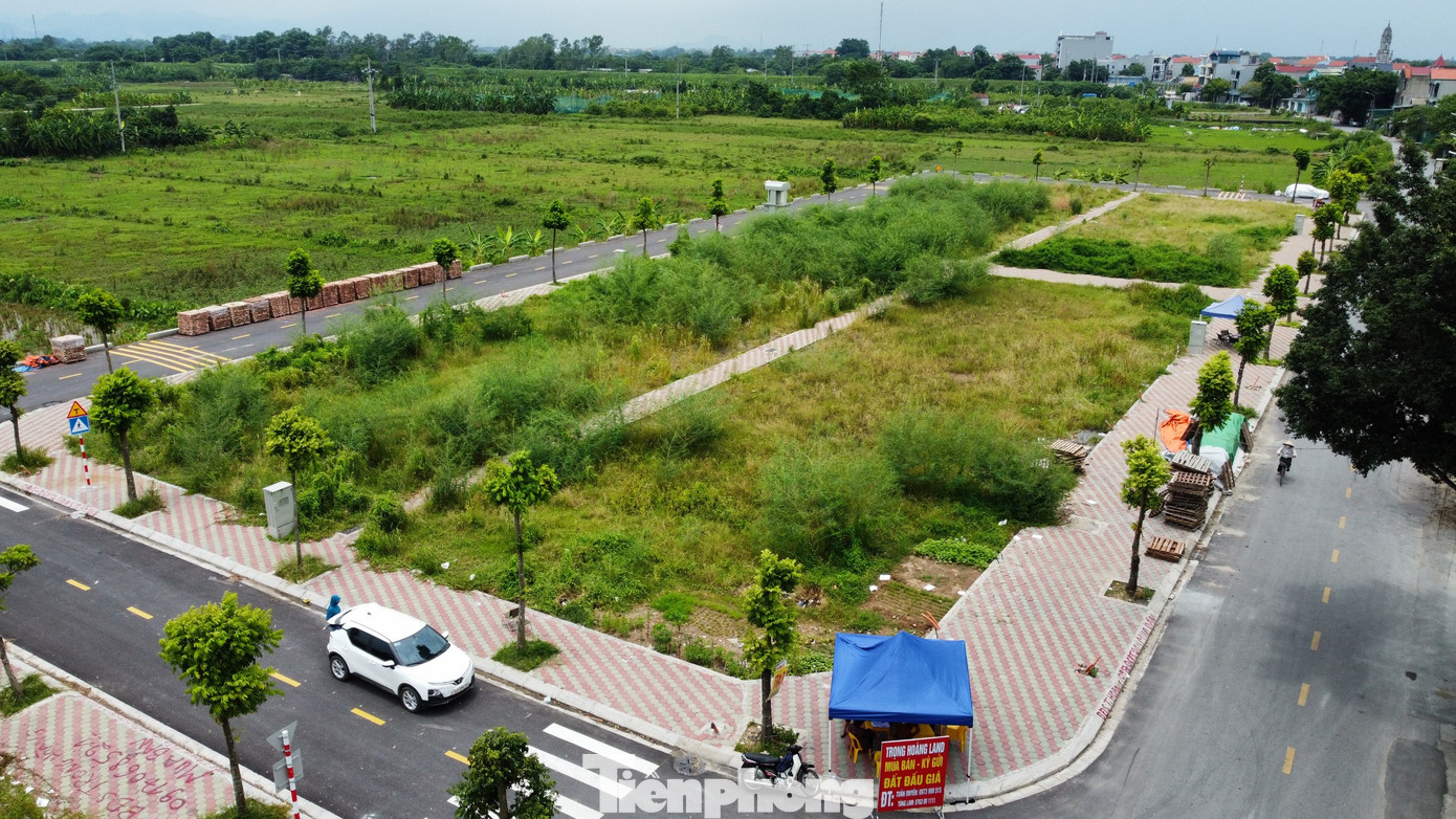 68 thửa đất tại khu Ngõ Ba, thôn Thanh Thần, xã Thanh Cao được đấu giá thành công ngày 10/8