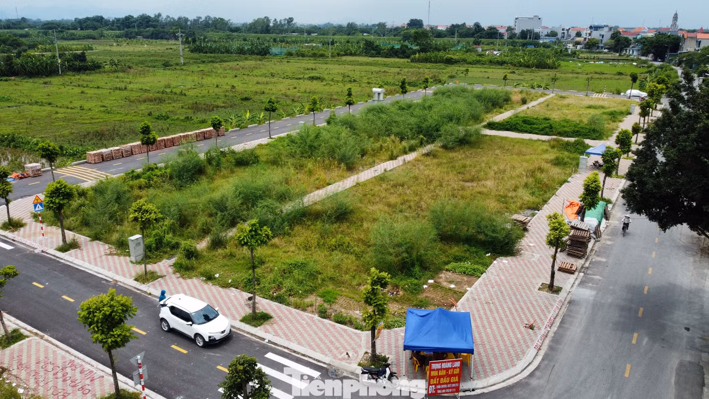 Khu đất vừa đấu giá nằm cách trung tâm quận Hà Đông khoảng 15km. Các lô đất nằm ở mặt đường lớn Bình Minh - Thanh Cao. Từ quận Hà Đông có thể đến đây qua đường trục phía Nam hoặc đường Đê Tả Đáy. Khu đất vừa đấu giá nằm cách trung tâm quận Hà Đông khoảng 15km. Các lô đất nằm ở mặt đường lớn Bình Minh - Thanh Cao. Từ quận Hà Đông có thể đến đây qua đường trục phía Nam hoặc đường Đê Tả Đáy.