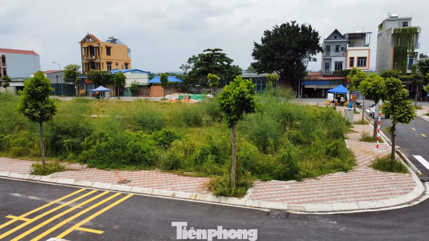 Khu đất đấu giá tại xã Thanh Cao