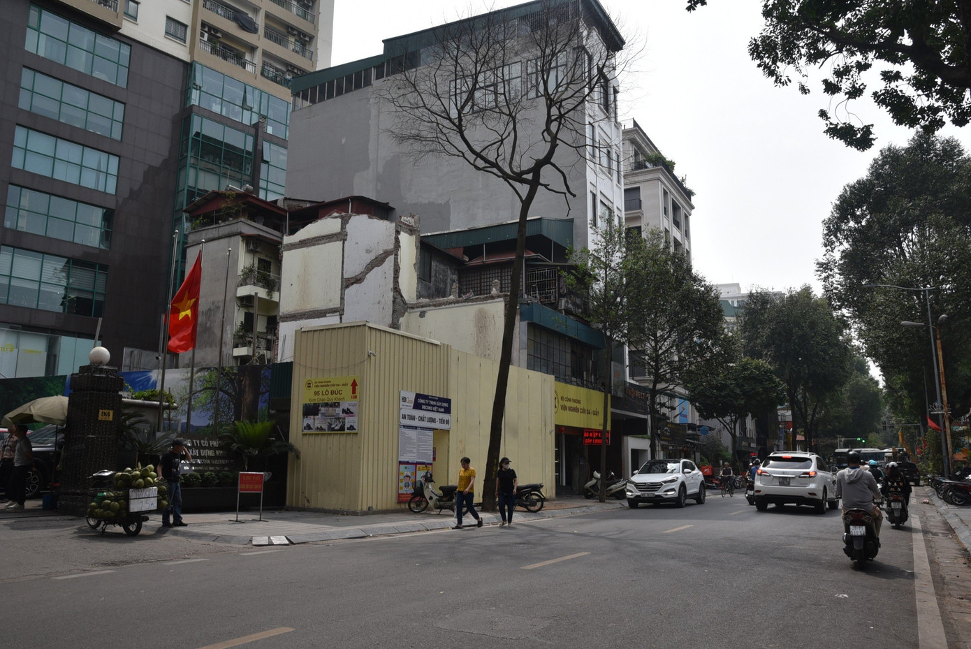 Tuy nhiên trong bán kính 100 m trên phố Lò Đúc, phường Phạm Đình Hổ, quận Hai Bà Trưng đang có bốn cây sao đen bị chết khô ở trước cửa các nhà số 34, 65, 71 và 93.