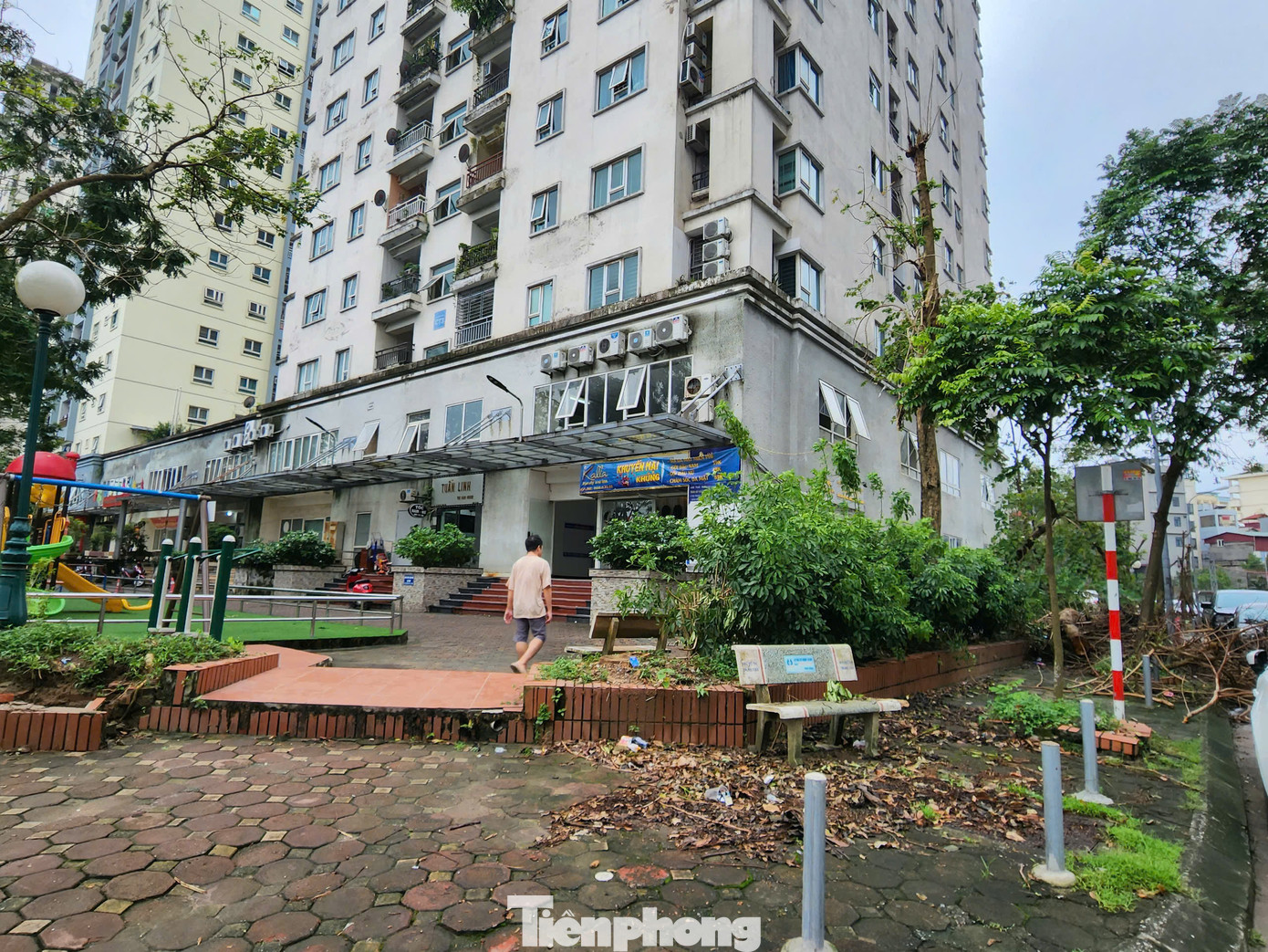 Bà Nguyễn Thị Tuyến, Tổ trưởng tổ dân phố số 12, phường Trung Văn cho biết, tổ dân phố chỉ quản lý cây trên hè, cây trong bồn do ban quản trị mỗi tòa nhà quản lý. Đối với các cây vỉa hè, sau đợt bão vừa qua ở khu vực có đến 80 cây gãy đổ. Bà Nguyễn Thị Tuyến, Tổ trưởng tổ dân phố số 12, phường Trung Văn cho biết, tổ dân phố chỉ quản lý cây trên hè, cây trong bồn do ban quản trị mỗi tòa nhà quản lý. Đối với các cây vỉa hè, sau đợt bão vừa qua ở khu vực có đến 80 cây gãy đổ.