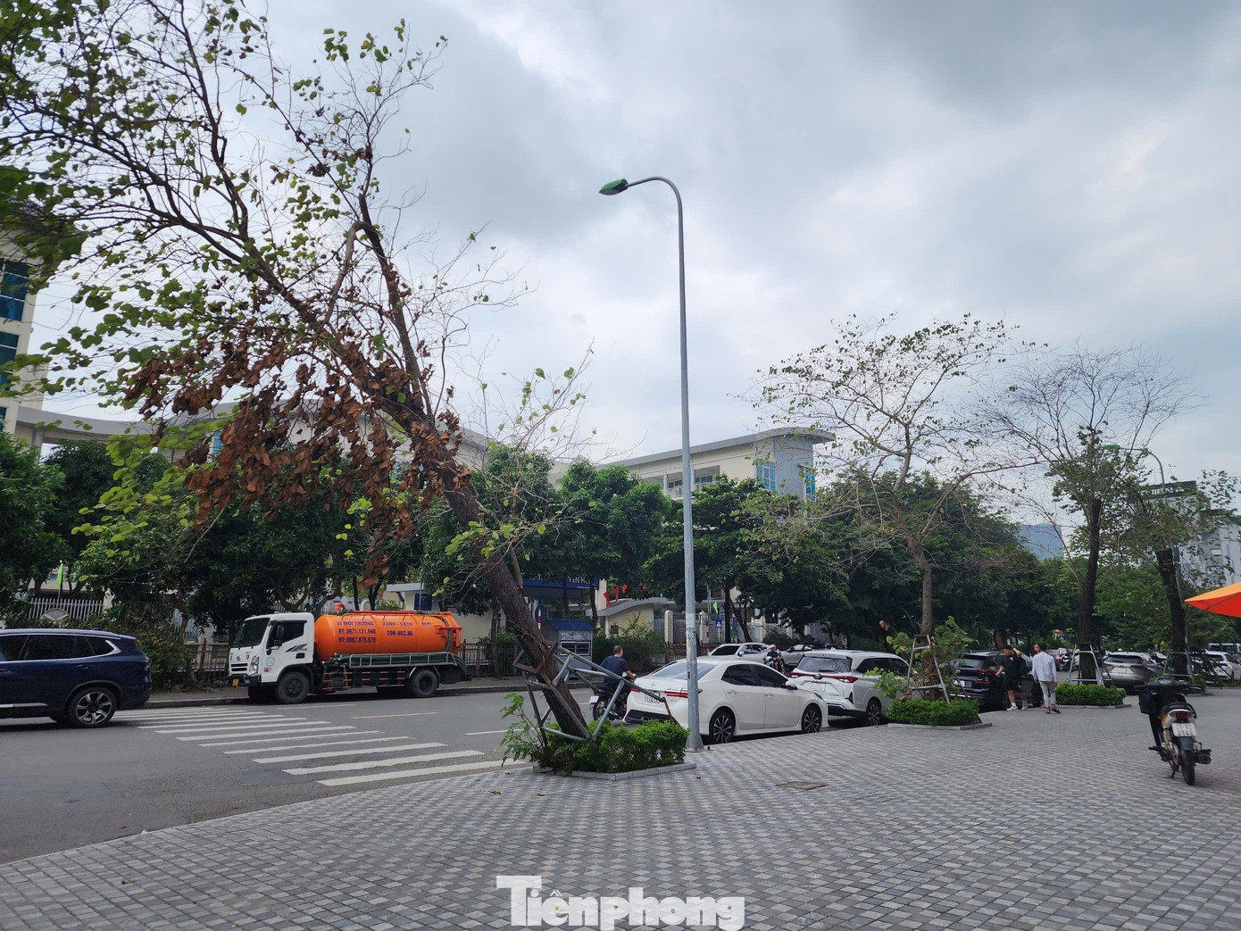 "Đồng thời, tập trung khôi phục hạ tầng, cải tạo vỉa hè sau khi trồng lại cây xanh gãy, đổ", ông Tuấn nói. "Đồng thời, tập trung khôi phục hạ tầng, cải tạo vỉa hè sau khi trồng lại cây xanh gãy, đổ", ông Tuấn nói.