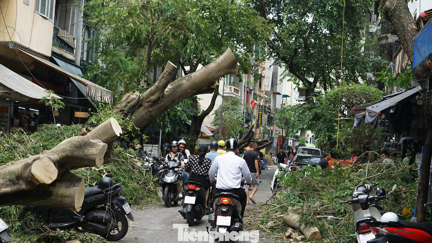 Cây xanh gãy đổ ngổn ngang trên phố cổ Hà Nội sau cơn bão số 3