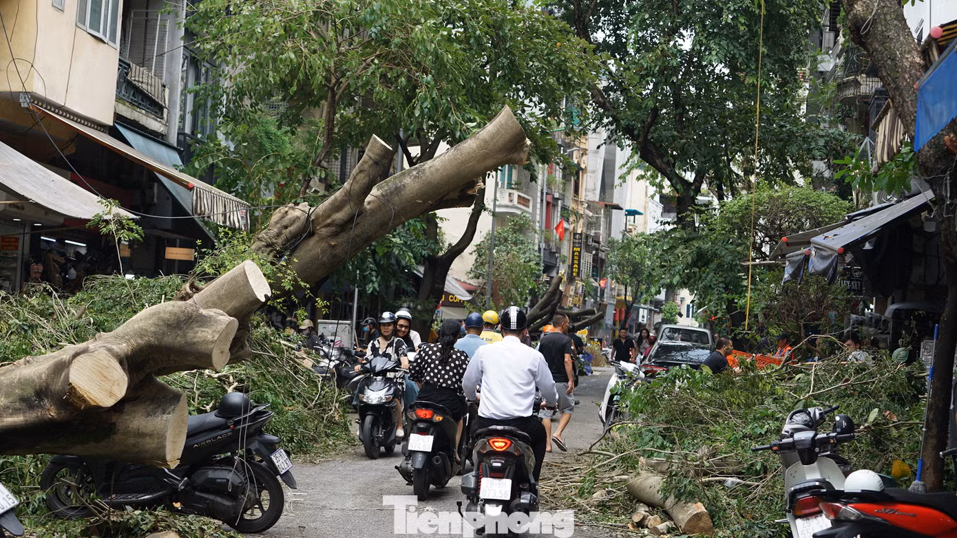 Cây xanh gãy đổ ngổn ngang trên phố cổ Hà Nội sau cơn bão số 3
