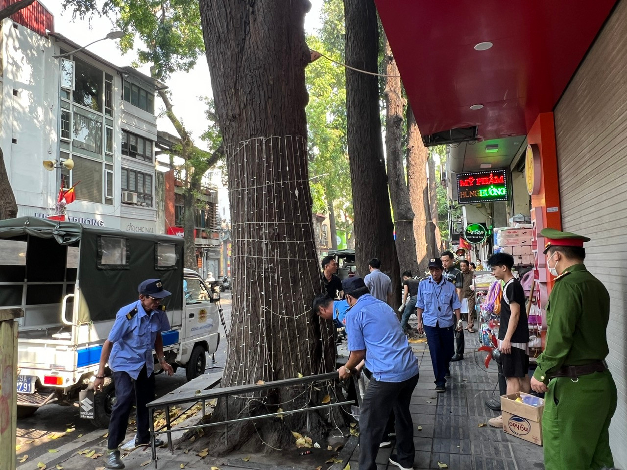 Tuy nhiên trong thời gian qua, những cây sao đen và một số cây xanh đô thị khác trên địa bàn phường Phạm Đình Hổ nói riêng và trên địa bàn thành phố nói chung đang bị một số cá nhân, tổ chức bức hại dẫn đến chết hoặc ảnh hưởng tới quá trình sinh trưởng.