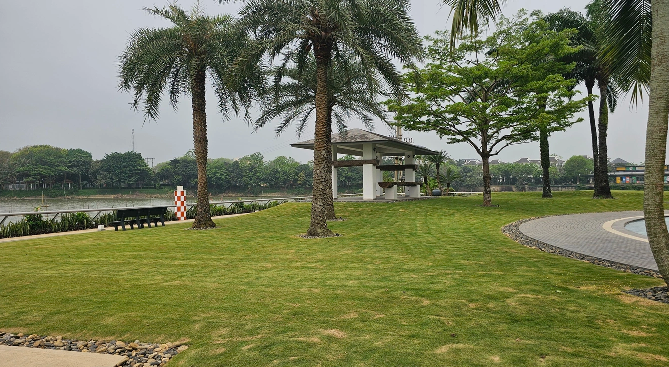 Dải đất bị chiếm dụng nhiều năm. Ảnh: Hà Hồng